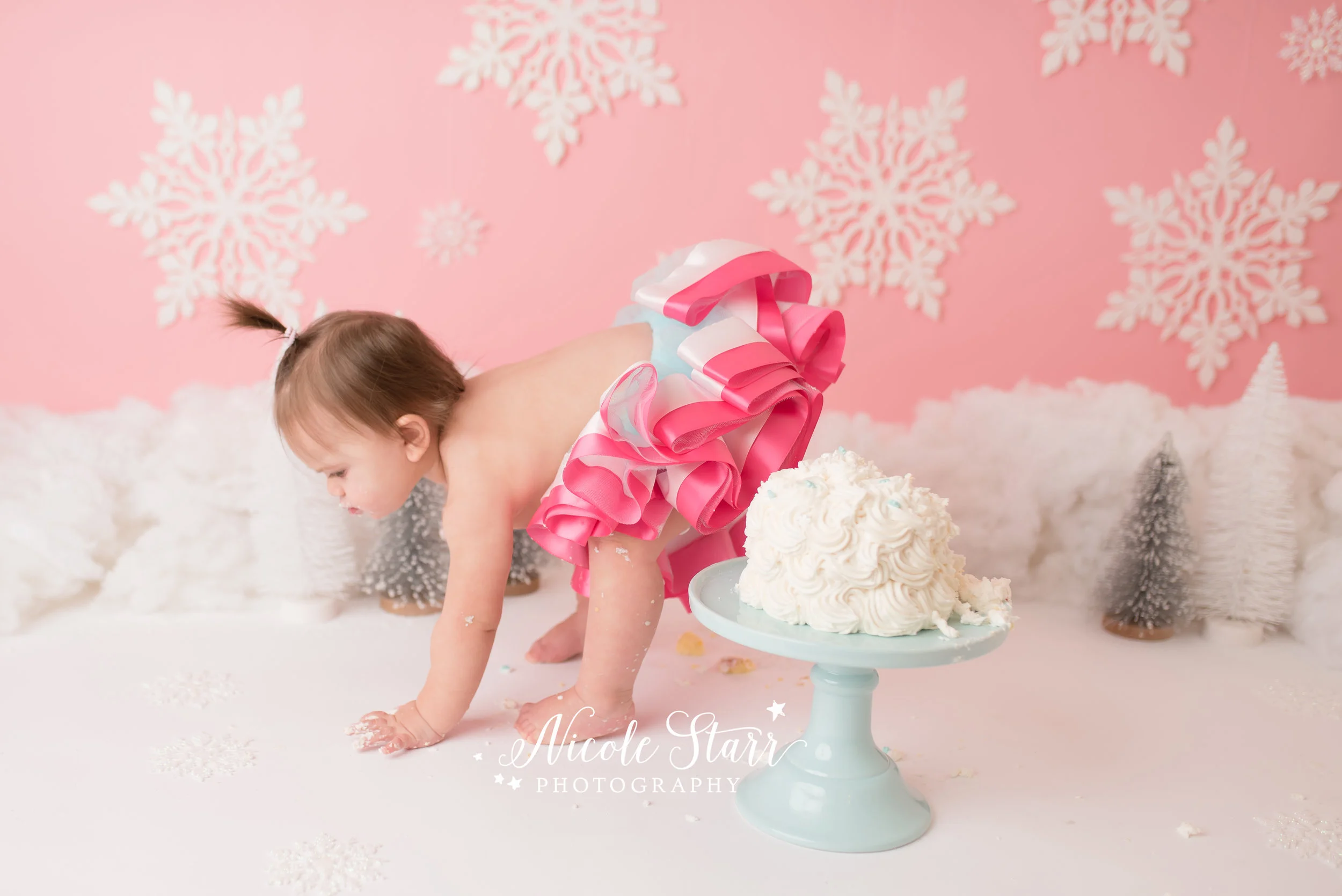 Nicole Starr Photography | Saratoga Springs Cake Smash Photographer | Boston Cake Smash Photographer | Saratoga Springs Family Photographer | Boston Family Photographer  Delmar NY Cake Smash Photographer | Loudonville NY Cake Smash Photographer