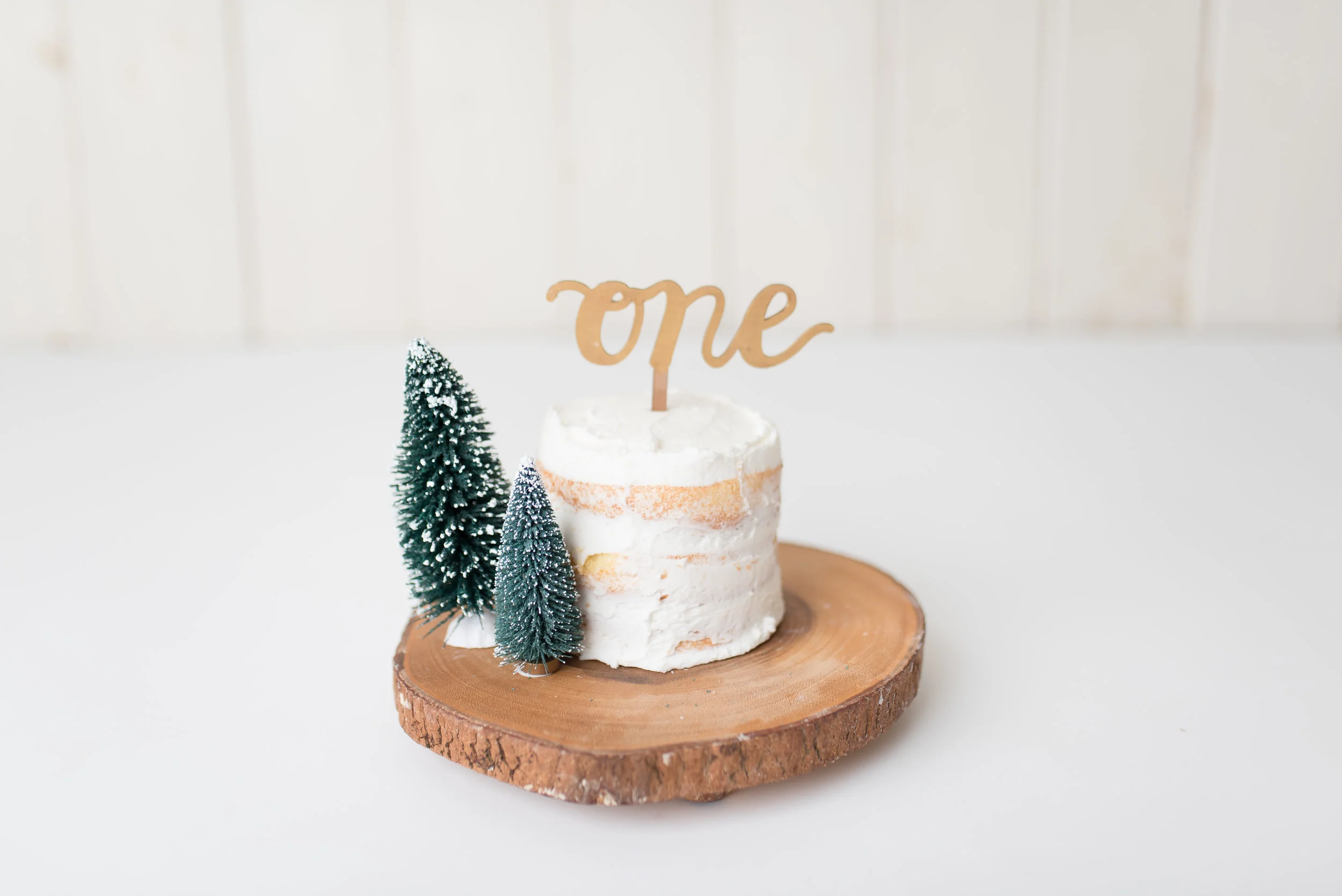 Nicole Starr Photography | Saratoga Springs Cake Smash Photographer | Boston Cake Smash Photographer | Saratoga Springs Family Photographer | Boston Family Photographer  Delmar NY Cake Smash Photographer | Loudonville NY Cake Smash Photographer