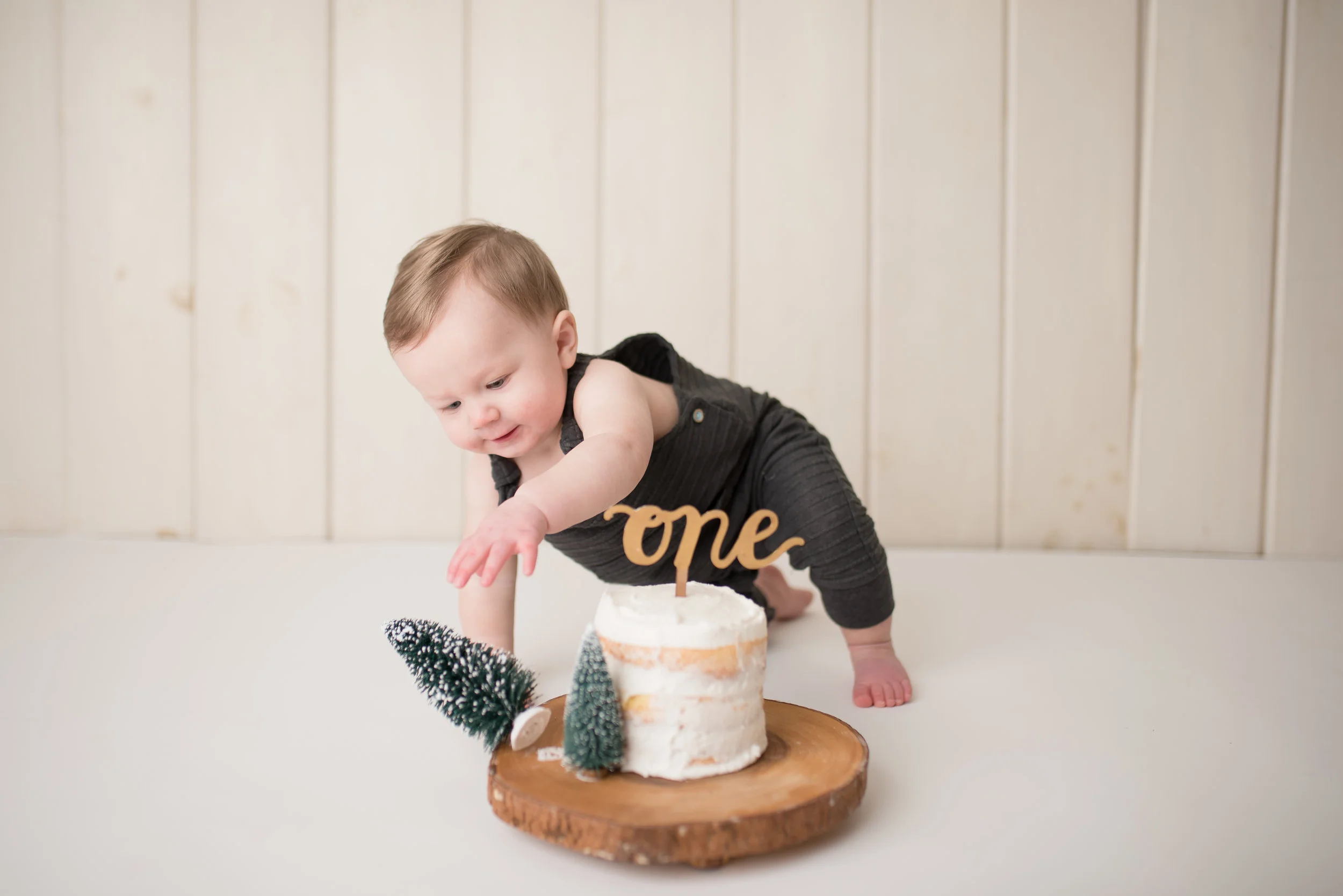 Nicole Starr Photography | Saratoga Springs Cake Smash Photographer | Boston Cake Smash Photographer | Saratoga Springs Family Photographer | Boston Family Photographer  Delmar NY Cake Smash Photographer | Loudonville NY Cake Smash Photographer