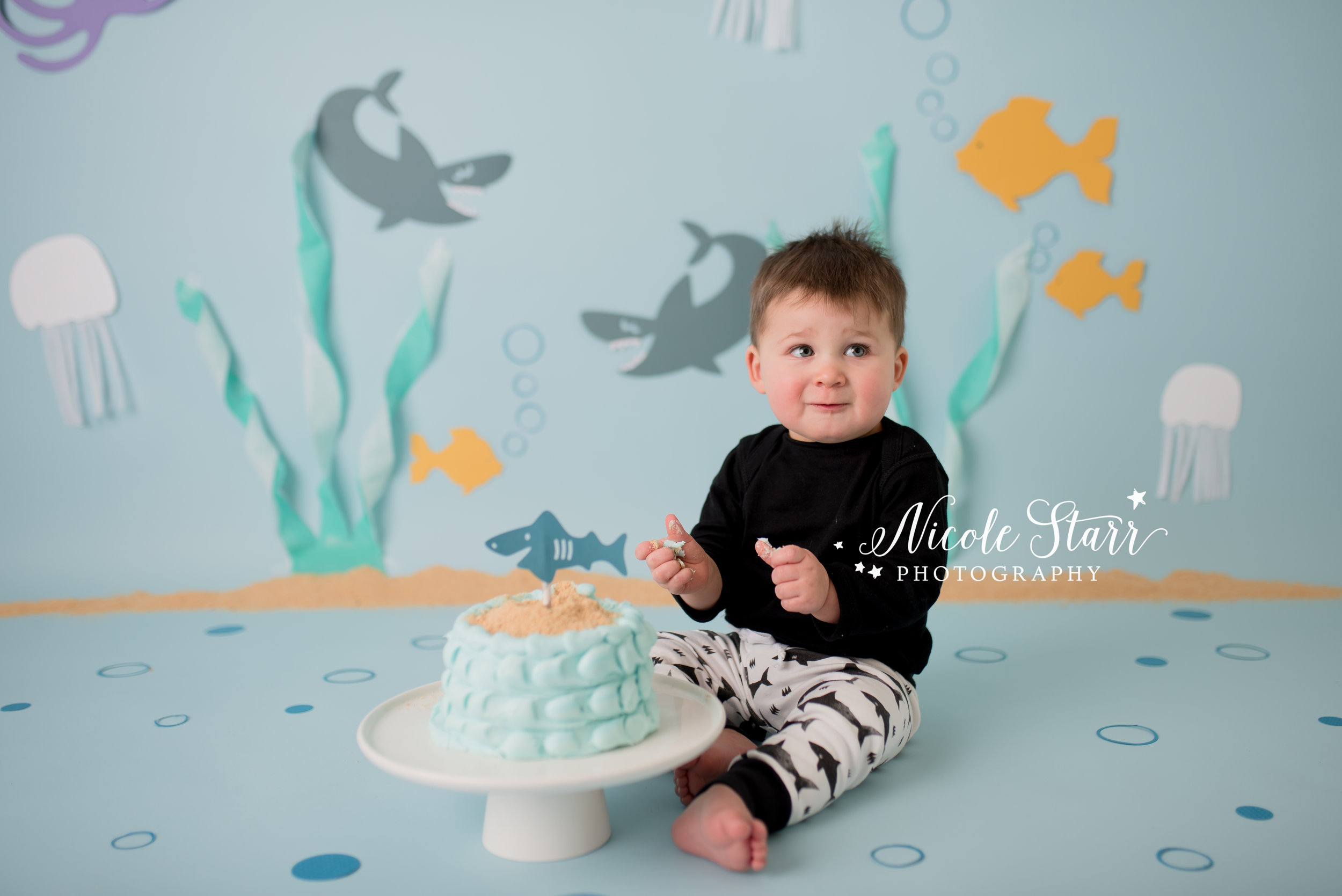 A Baby Shark Cake Smash By Nicole Starr Photography Saratoga