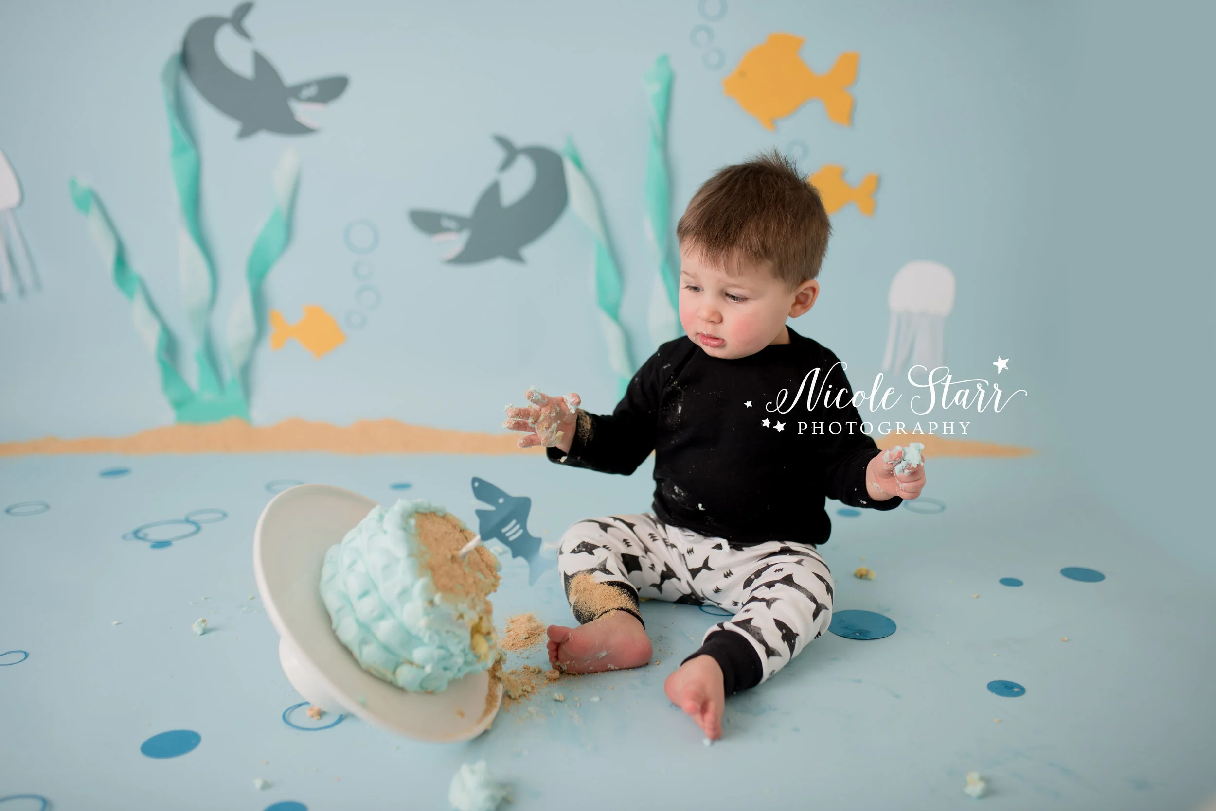 Nicole Starr Photography | Saratoga Springs Cake Smash Photographer | Boston Cake Smash Photographer | Saratoga Springs Family Photographer | Boston Family Photographer Delmar NY Cake Smash Photographer | Loudonville NY Cake Smash Photographer | Bab…