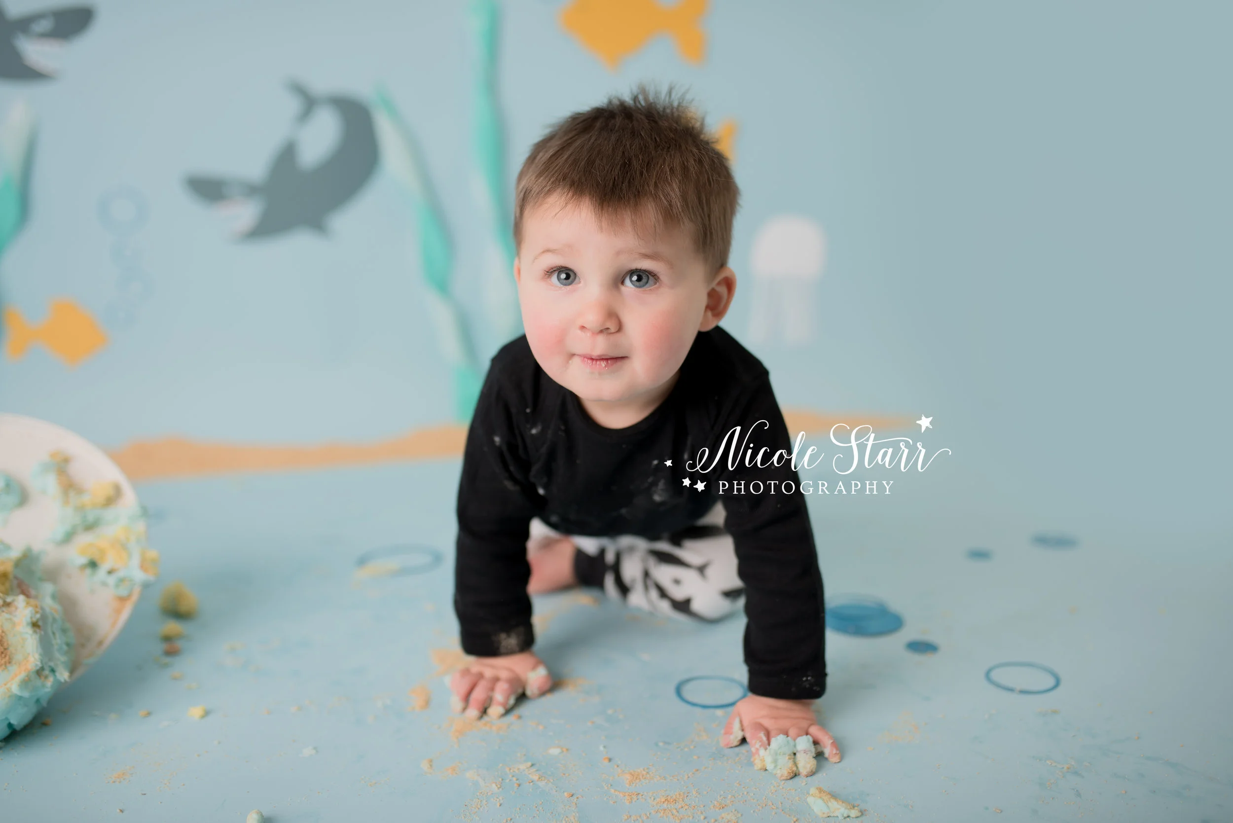 Nicole Starr Photography | Saratoga Springs Cake Smash Photographer | Boston Cake Smash Photographer | Saratoga Springs Family Photographer | Boston Family Photographer Delmar NY Cake Smash Photographer | Loudonville NY Cake Smash Photographer | Bab…