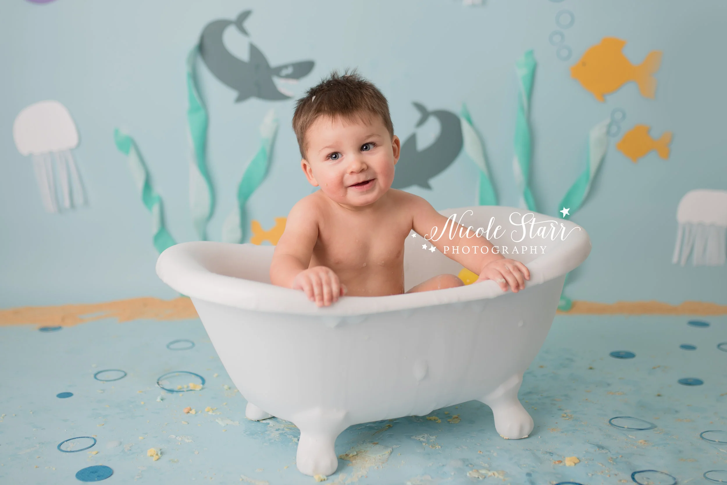 Nicole Starr Photography | Saratoga Springs Cake Smash Photographer | Boston Cake Smash Photographer | Saratoga Springs Family Photographer | Boston Family Photographer Delmar NY Cake Smash Photographer | Loudonville NY Cake Smash Photographer | Bab…