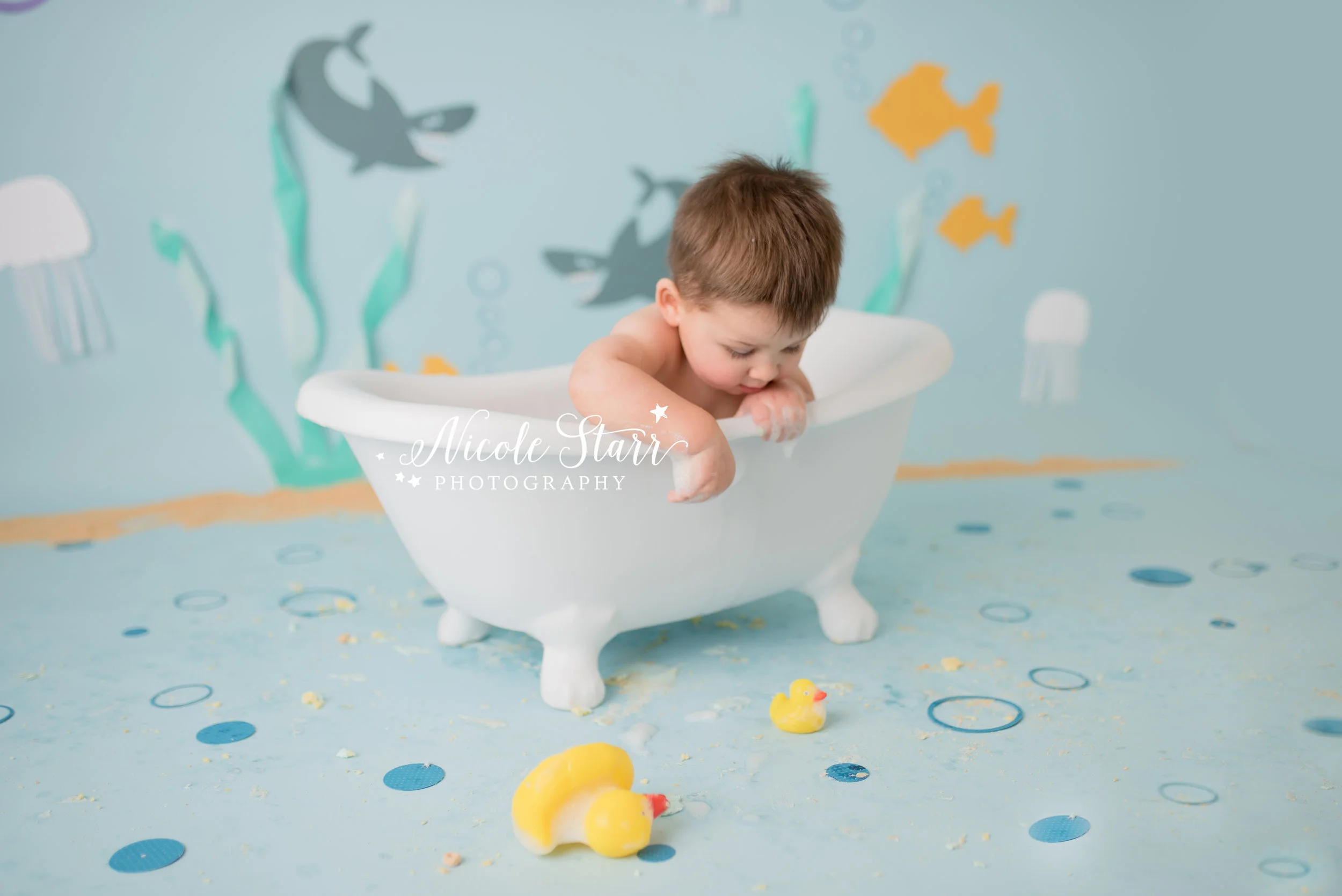 Nicole Starr Photography | Saratoga Springs Cake Smash Photographer | Boston Cake Smash Photographer | Saratoga Springs Family Photographer | Boston Family Photographer Delmar NY Cake Smash Photographer | Loudonville NY Cake Smash Photographer | Bab…