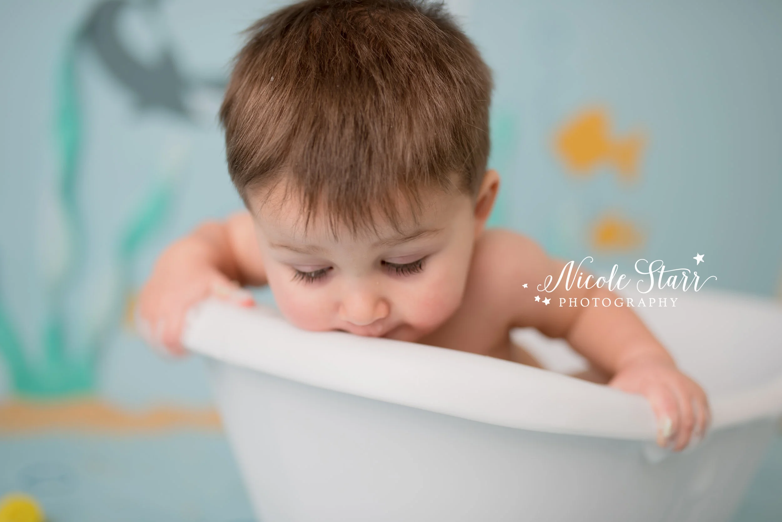 Nicole Starr Photography | Saratoga Springs Cake Smash Photographer | Boston Cake Smash Photographer | Saratoga Springs Family Photographer | Boston Family Photographer Delmar NY Cake Smash Photographer | Loudonville NY Cake Smash Photographer | Bab…