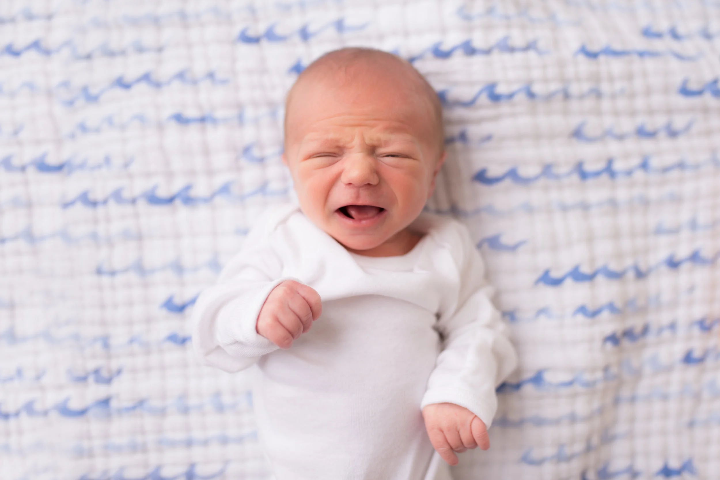 Nicole Starr Photography  |  Saratoga Springs baby photographer  |  Down syndrome awareness and advocacy photographer