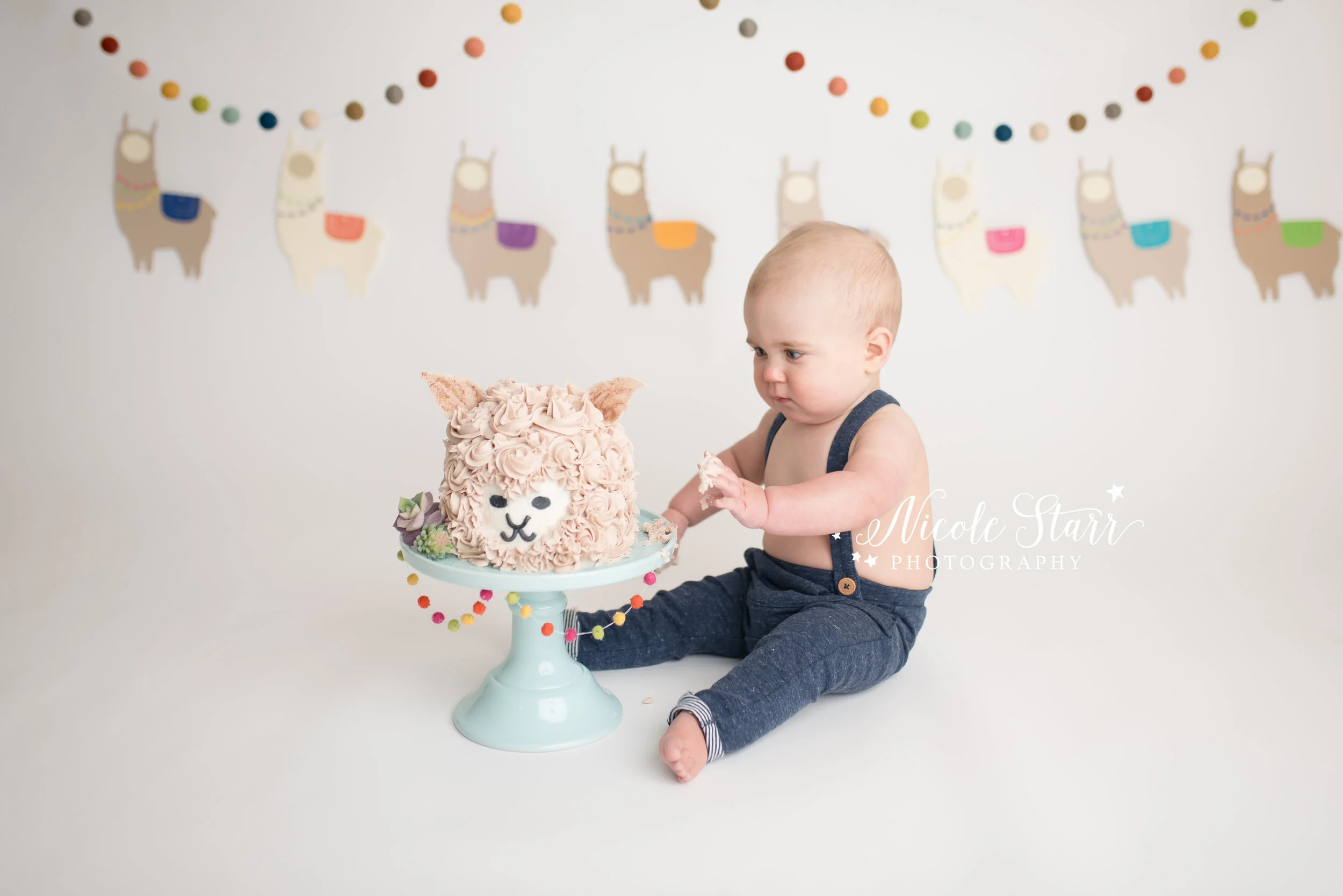 Baby Starr | A Llama Cake Smash for Grayson — Saratoga Springs Baby ...
