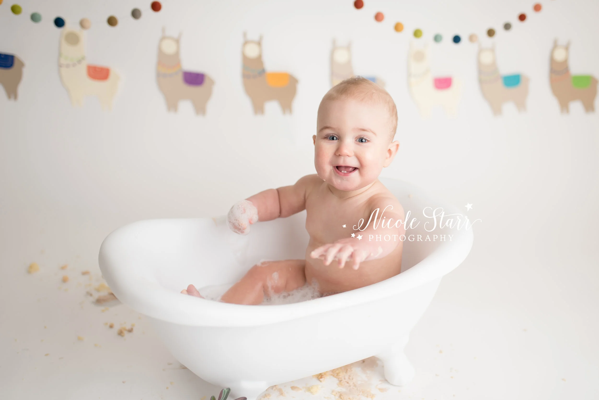 Baby Starr | A Llama Cake Smash for Grayson — Saratoga Springs Baby ...