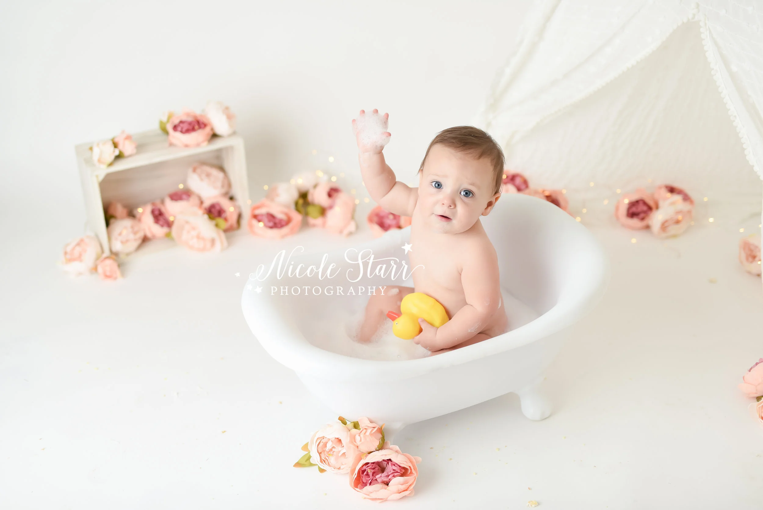 Nicole Starr Photography | Saratoga Springs Cake Smash Photographer | Boston Cake Smash Photographer | Saratoga Springs Family Photographer | Boston Family Photographer Delmar NY Cake Smash Photographer | Loudonville NY Cake Smash Photographer, flor…