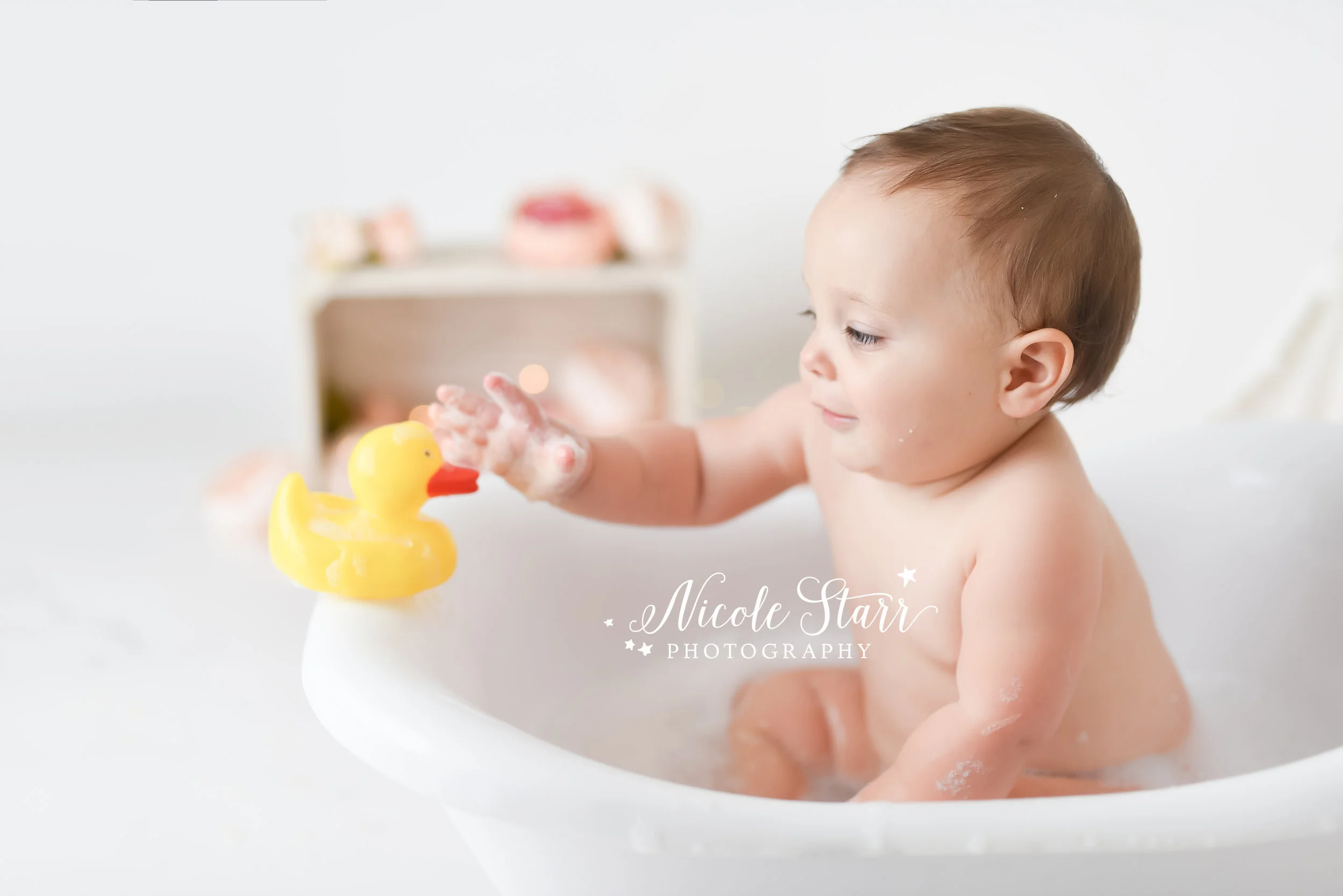 Nicole Starr Photography | Saratoga Springs Cake Smash Photographer | Boston Cake Smash Photographer | Saratoga Springs Family Photographer | Boston Family Photographer Delmar NY Cake Smash Photographer | Loudonville NY Cake Smash Photographer, flor…