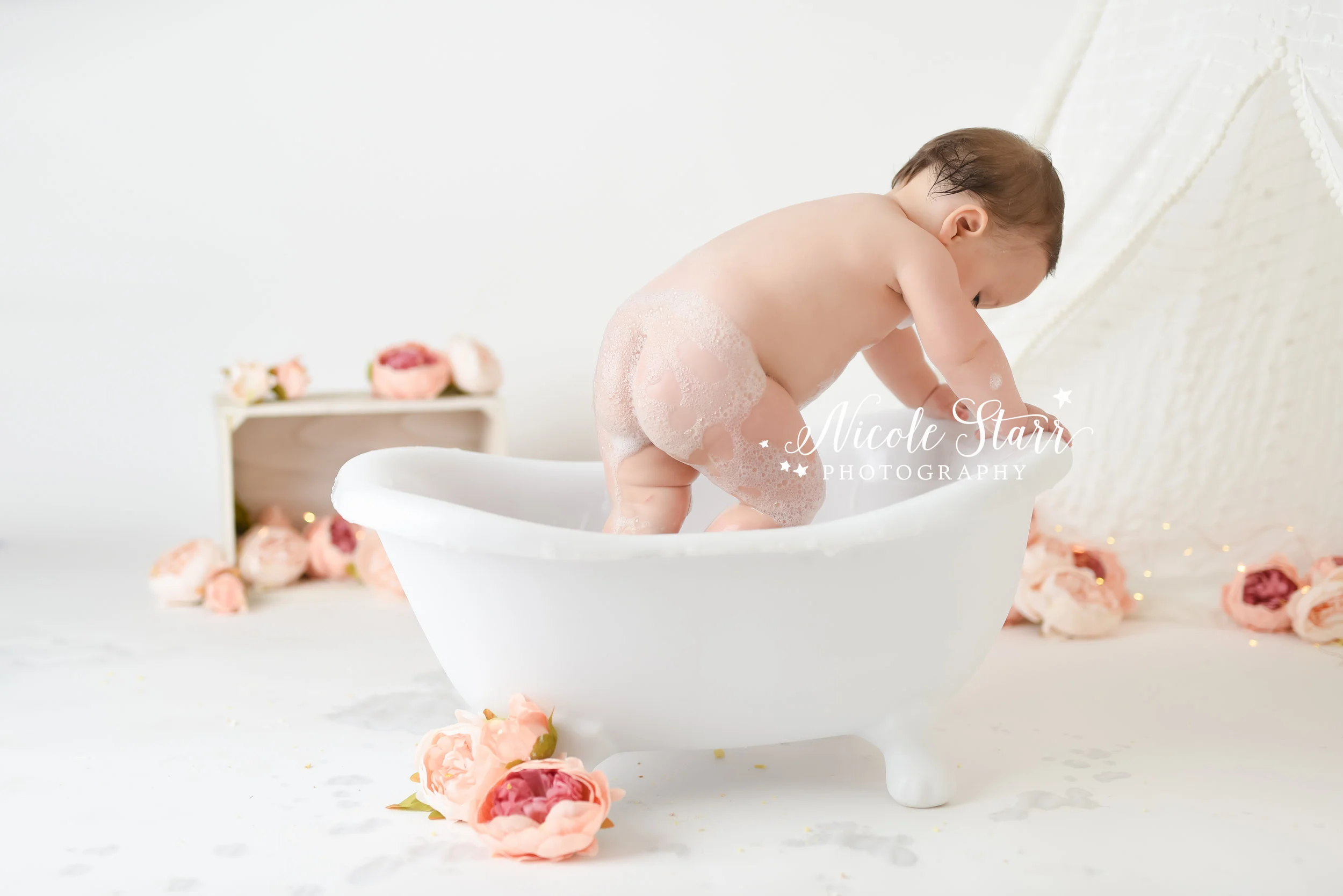 Nicole Starr Photography | Saratoga Springs Cake Smash Photographer | Boston Cake Smash Photographer | Saratoga Springs Family Photographer | Boston Family Photographer Delmar NY Cake Smash Photographer | Loudonville NY Cake Smash Photographer, flor…