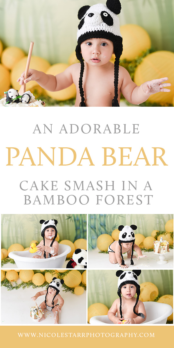 Nicole Starr Photography | Saratoga Springs Cake Smash Photographer | Boston Cake Smash Photographer | Saratoga Springs Family Photographer | Boston Family Photographer Delmar NY Cake Smash Photographer | Loudonville NY Cake Smash Photographer | Pan…