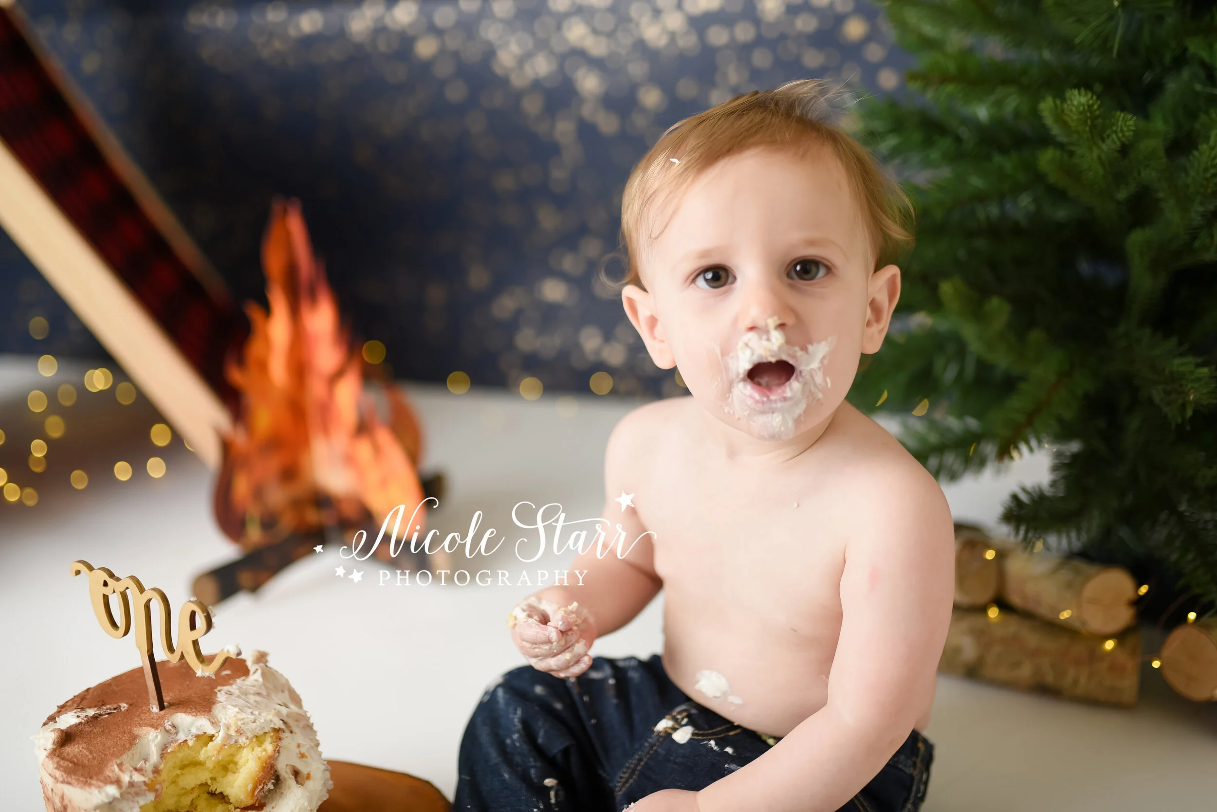 Nicole Starr Photography | Saratoga Springs Cake Smash Photographer | Boston Cake Smash Photographer | Saratoga Springs Family Photographer | Boston Family Photographer Delmar NY Cake Smash Photographer | Loudonville NY Cake Smash Photographer, camp…