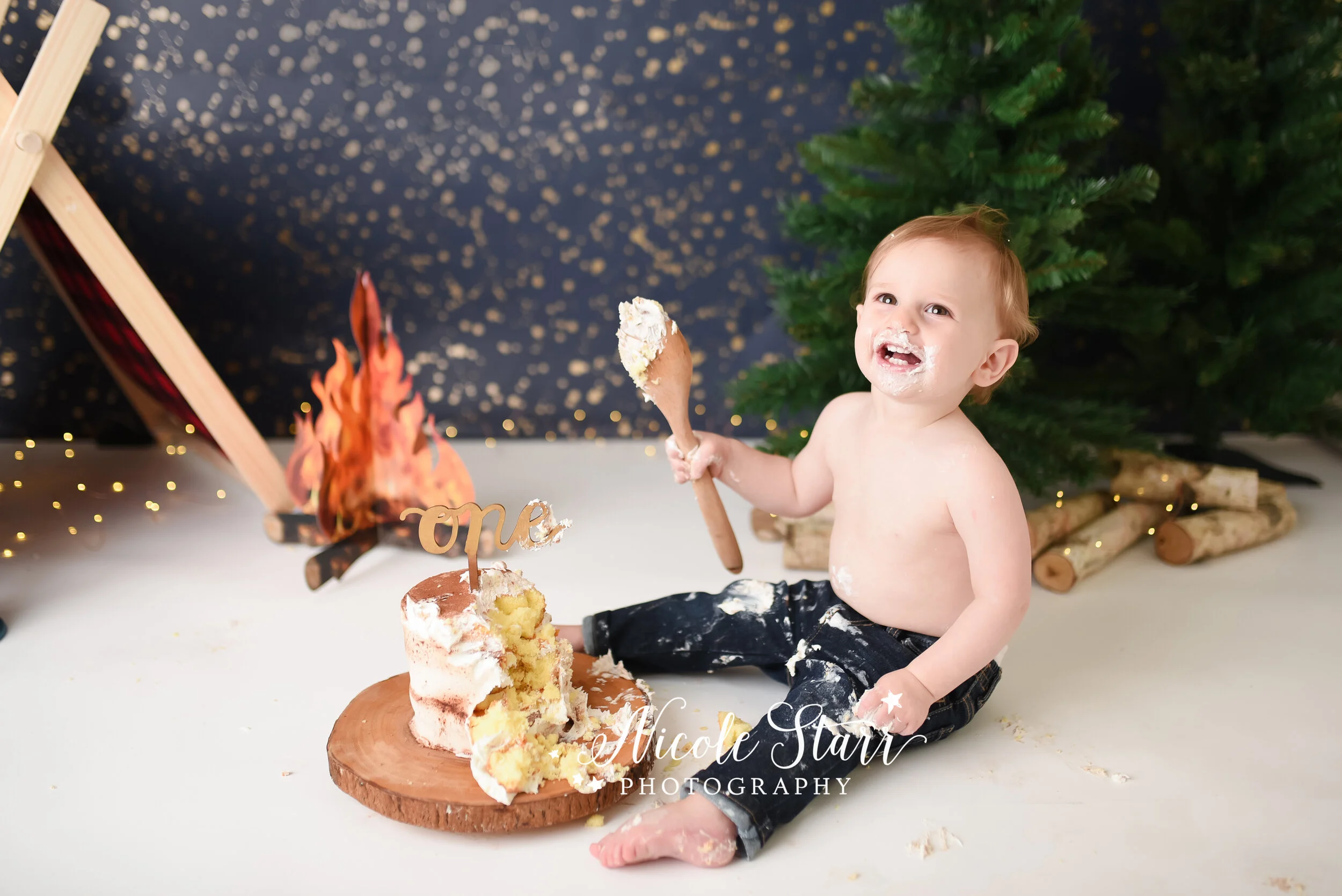 Nicole Starr Photography | Saratoga Springs Cake Smash Photographer | Boston Cake Smash Photographer | Saratoga Springs Family Photographer | Boston Family Photographer Delmar NY Cake Smash Photographer | Loudonville NY Cake Smash Photographer, camp…