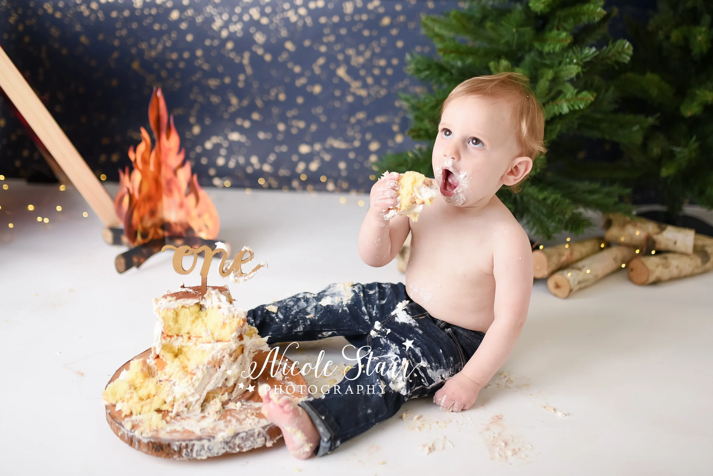 Nicole Starr Photography | Saratoga Springs Cake Smash Photographer | Boston Cake Smash Photographer | Saratoga Springs Family Photographer | Boston Family Photographer Delmar NY Cake Smash Photographer | Loudonville NY Cake Smash Photographer, camp…