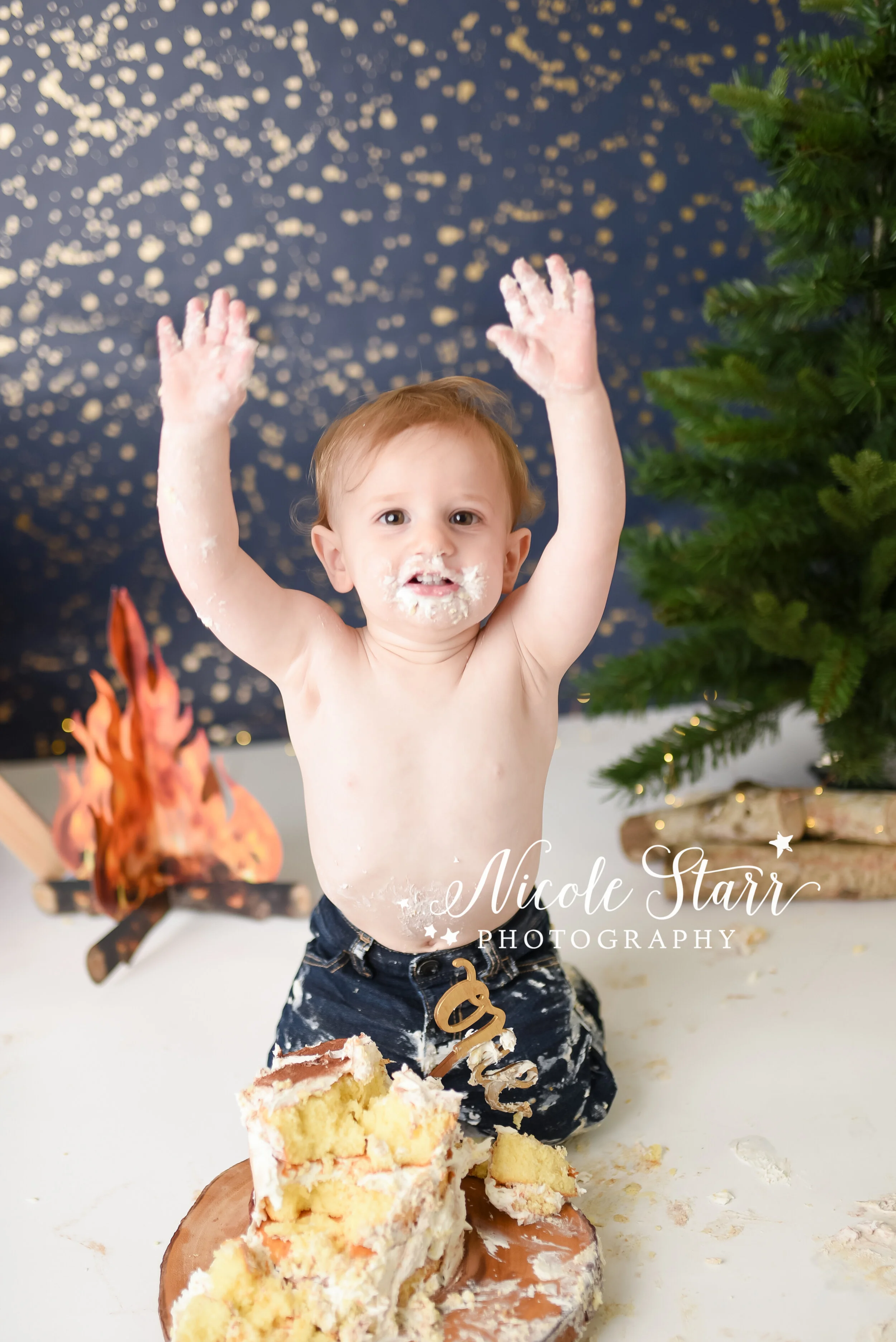 Nicole Starr Photography | Saratoga Springs Cake Smash Photographer | Boston Cake Smash Photographer | Saratoga Springs Family Photographer | Boston Family Photographer Delmar NY Cake Smash Photographer | Loudonville NY Cake Smash Photographer, camp…