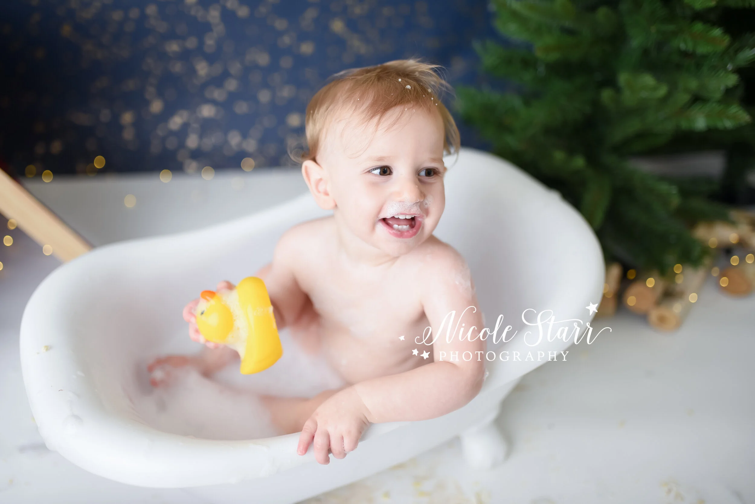 Nicole Starr Photography | Saratoga Springs Cake Smash Photographer | Boston Cake Smash Photographer | Saratoga Springs Family Photographer | Boston Family Photographer Delmar NY Cake Smash Photographer | Loudonville NY Cake Smash Photographer, camp…