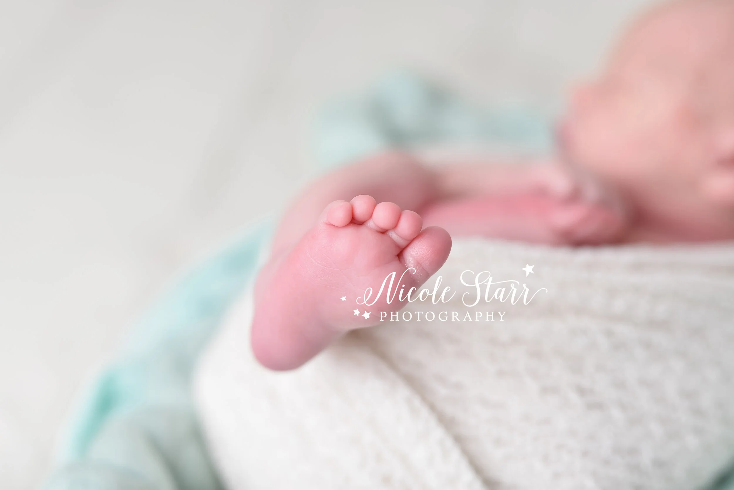 Nicole Starr Photography | Saratoga Springs Newborn Photographer | Boston Newborn Photographer | Upstate NY Newborn Photographer | Newborn Photographer | Delmar NY Newborn Photographer | Loudonville NY Newborn Photographer | neutral newborn photogra…