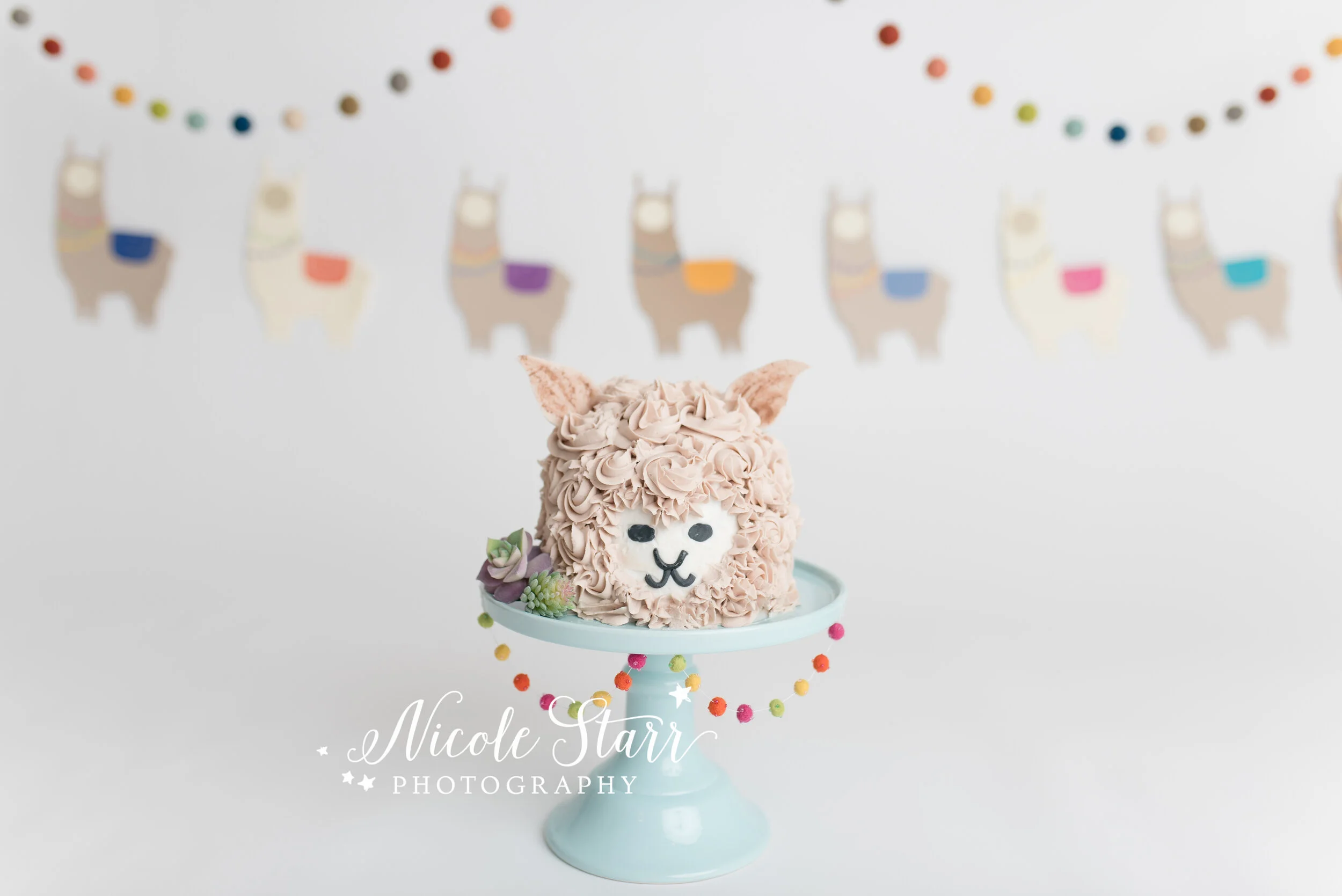 Nicole Starr Photography | Saratoga Springs Cake Smash Photographer | Boston Cake Smash Photographer | Saratoga Springs Family Photographer | Boston Family Photographer | Delmar NY Cake Smash Photographer | Loudonville Cake Smash Photographer, how t…