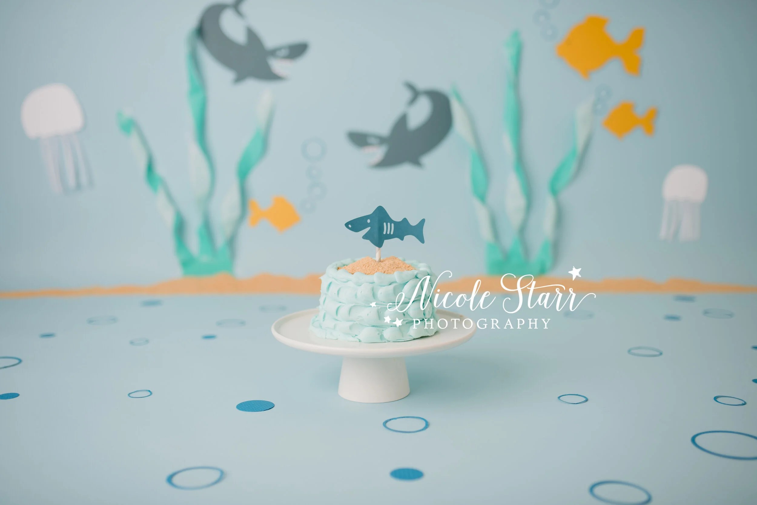 Nicole Starr Photography | Saratoga Springs Cake Smash Photographer | Boston Cake Smash Photographer | Saratoga Springs Family Photographer | Boston Family Photographer | Delmar NY Cake Smash Photographer | Loudonville Cake Smash Photographer, how t…