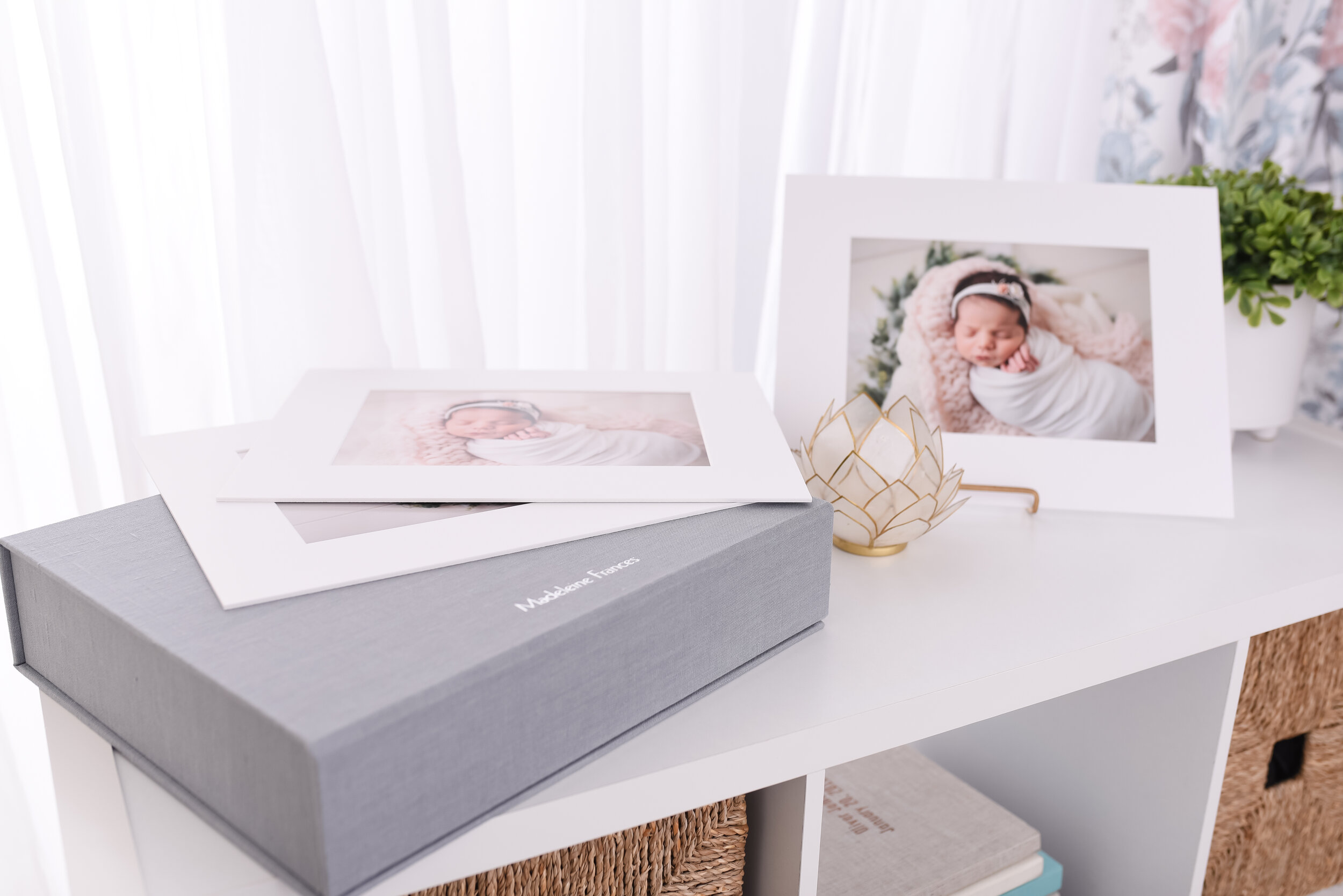 Nicole Starr Photography introduces new collection box with matted portraits, RedTree collection boxes, collection boxes, fine art prints, print your portraits, newborn portraits in collection box, heirloom albums, heirloom products