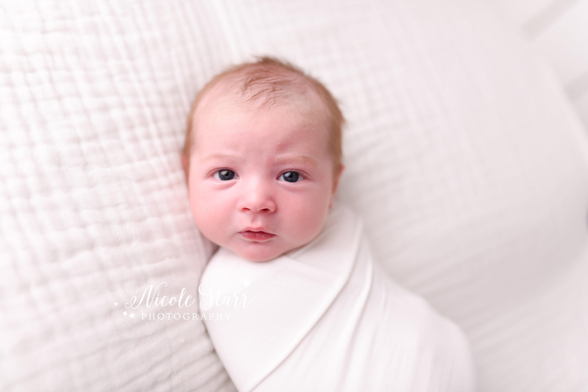 Studio Newborn Portraits for Baby Boy &amp; Big Sister by Nicole Starr Photography | Nicole Starr Photography | Saratoga Springs Newborn Photographer | Boston Newborn Photographer | Upstate NY Newborn Photographer | Newborn Photographer&nbsp;| Delma…