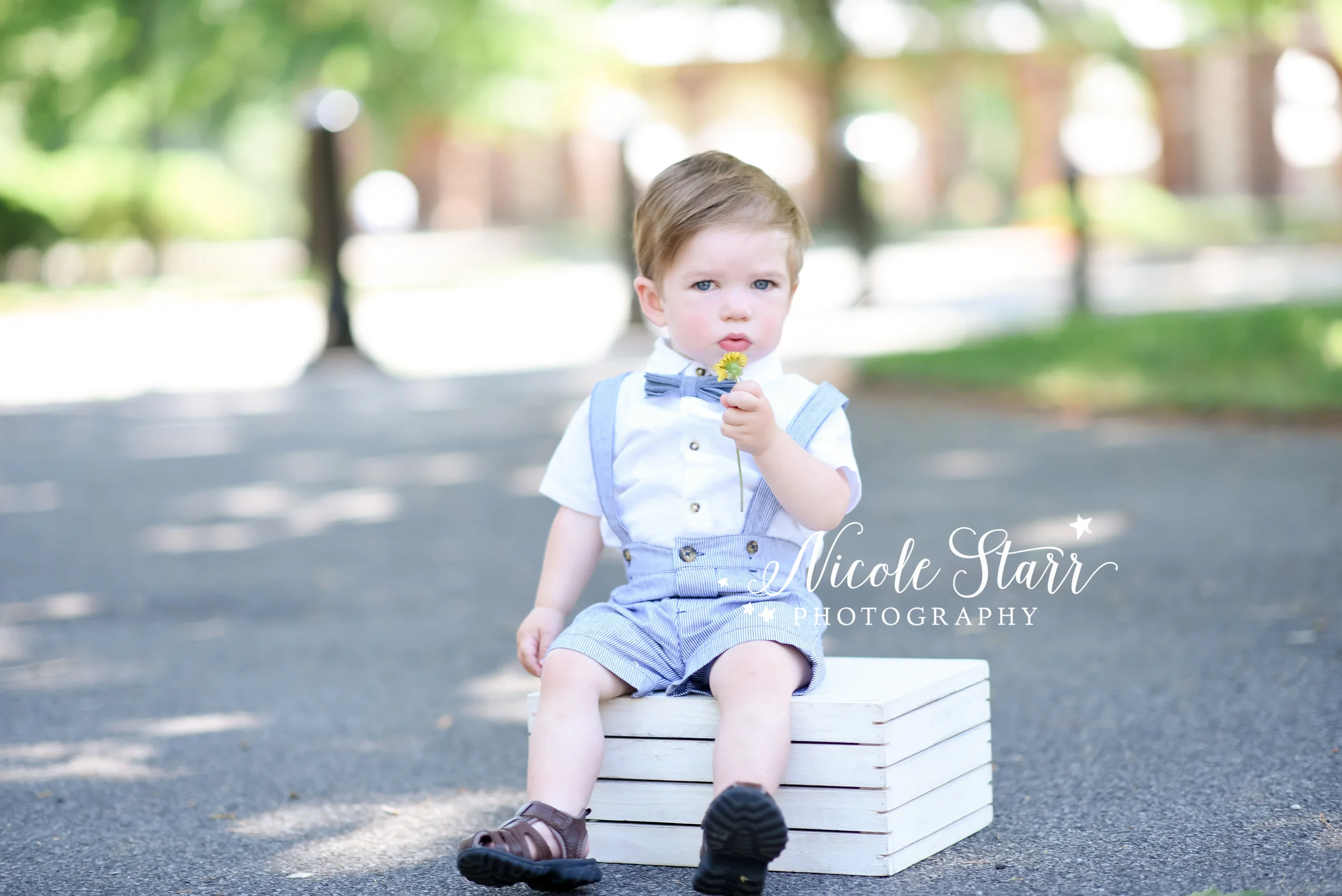 toddler in bow tie smiles for one year portraits photographed by Nicole Starr Photography, New York cake smash photographer | Delmar NY cake smash, Loudonville NY cake smash, Albany NY Cake smash