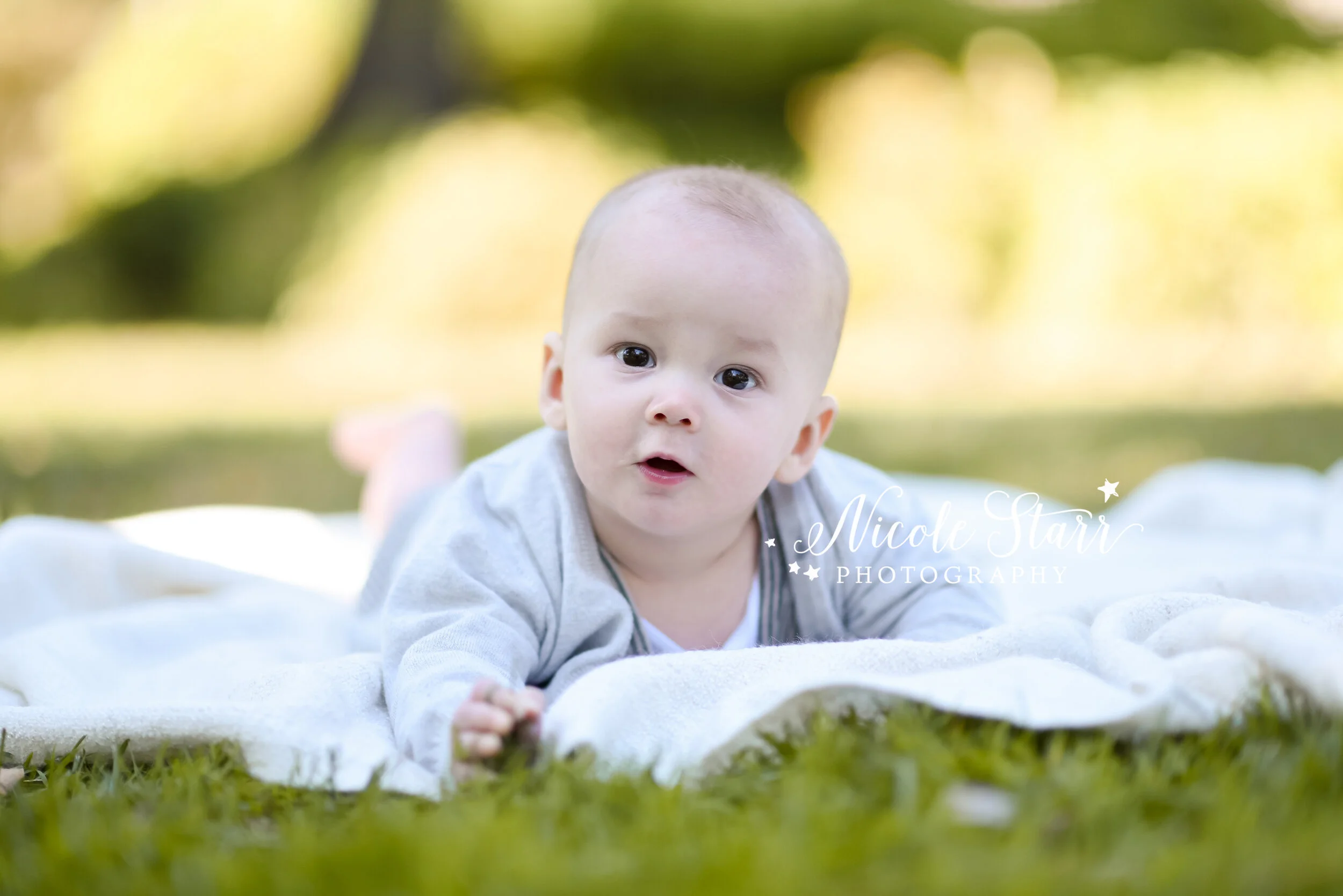 baby plays on tummy during New York family photos with Saratoga Springs and Delmar NY family photographer Nicole Starr Photography