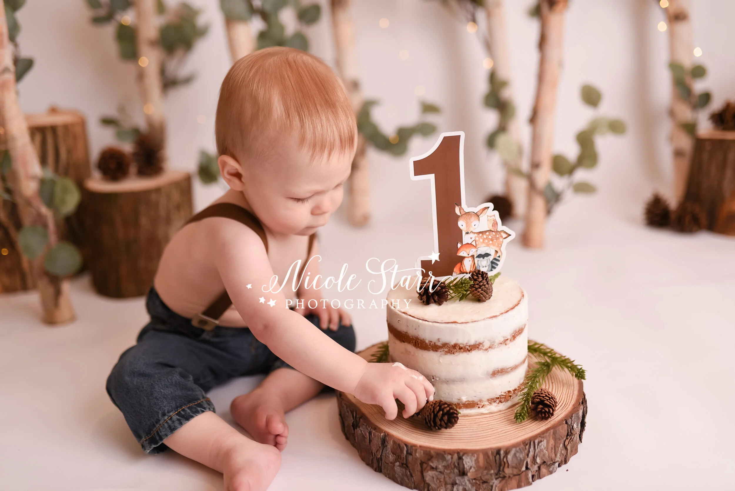 a-simple-woodland-cake-smash-for-baby-boy-saratoga-springs-baby