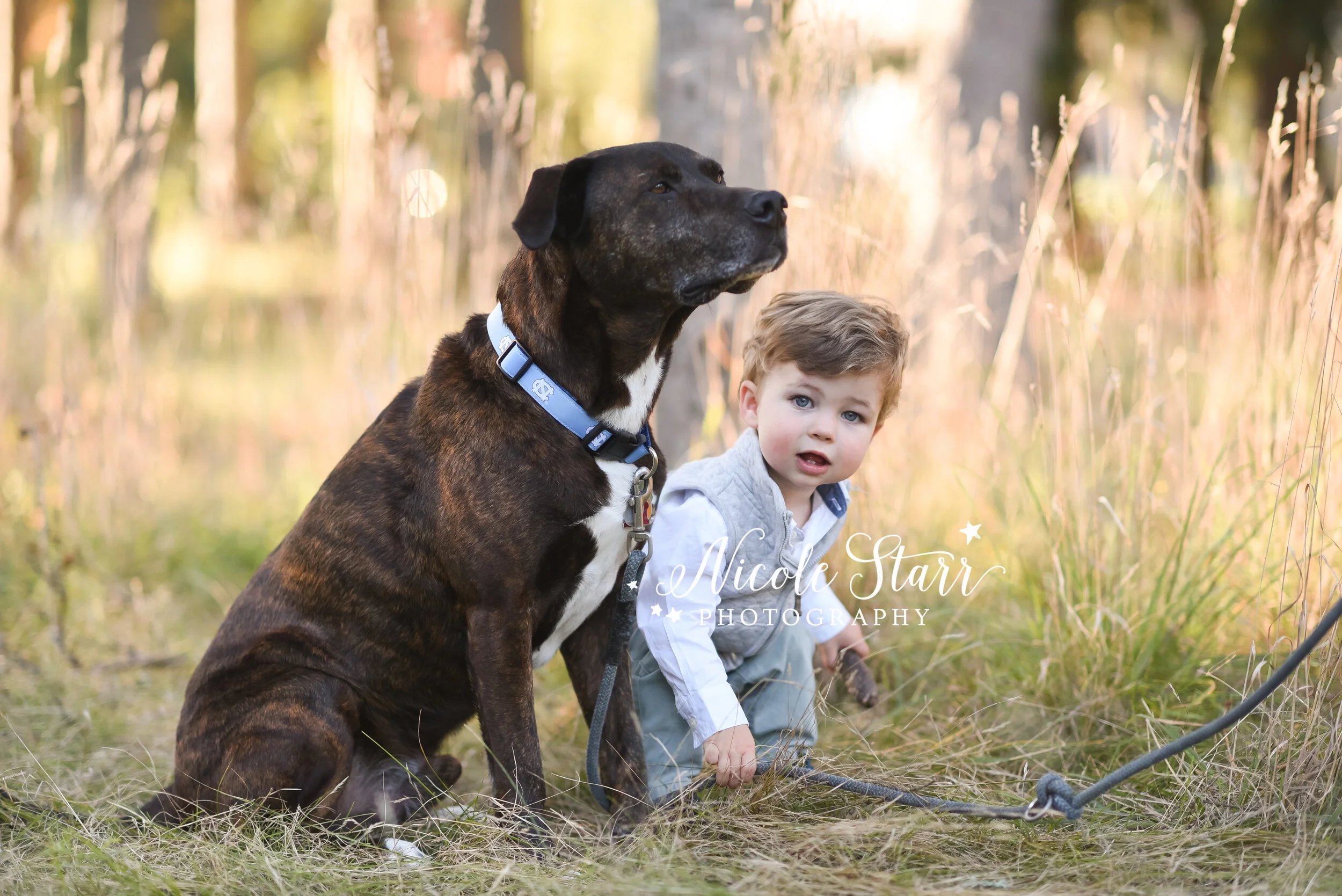 toddler poses with dog during fall family photos with Saratoga Springs luxury portrait photographer Nicole Starr Photography