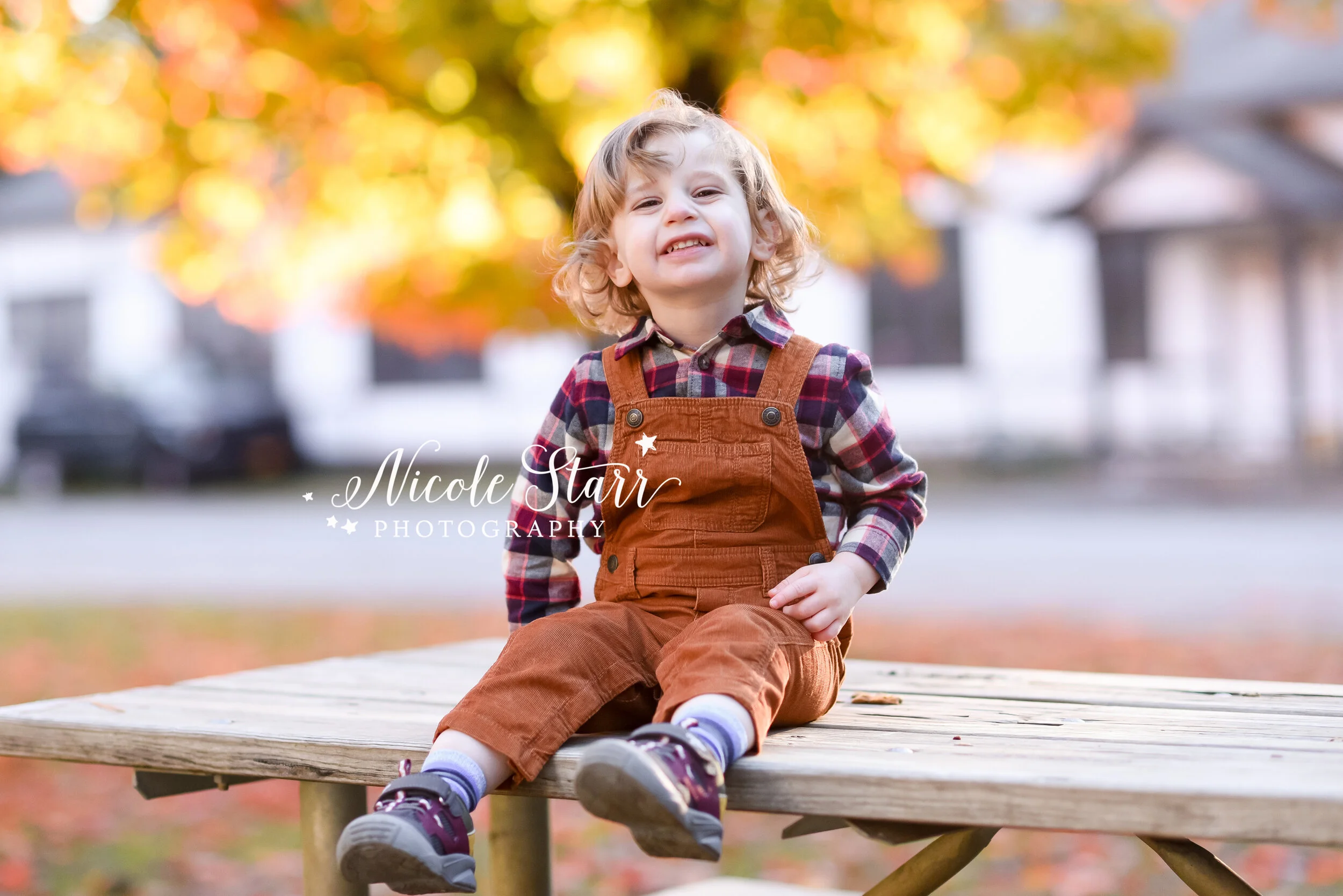 toddler plays on bench in Saratoga Springs park with family photographer Nicole Starr Photography