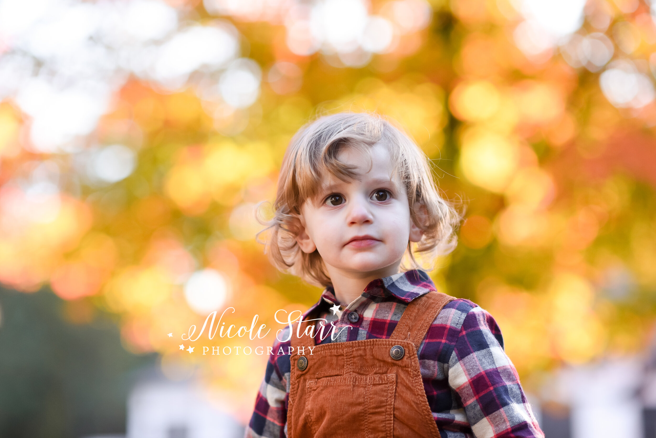 toddler plays by tree with yellow leaves during family photos with family photographer Nicole Starr Photography