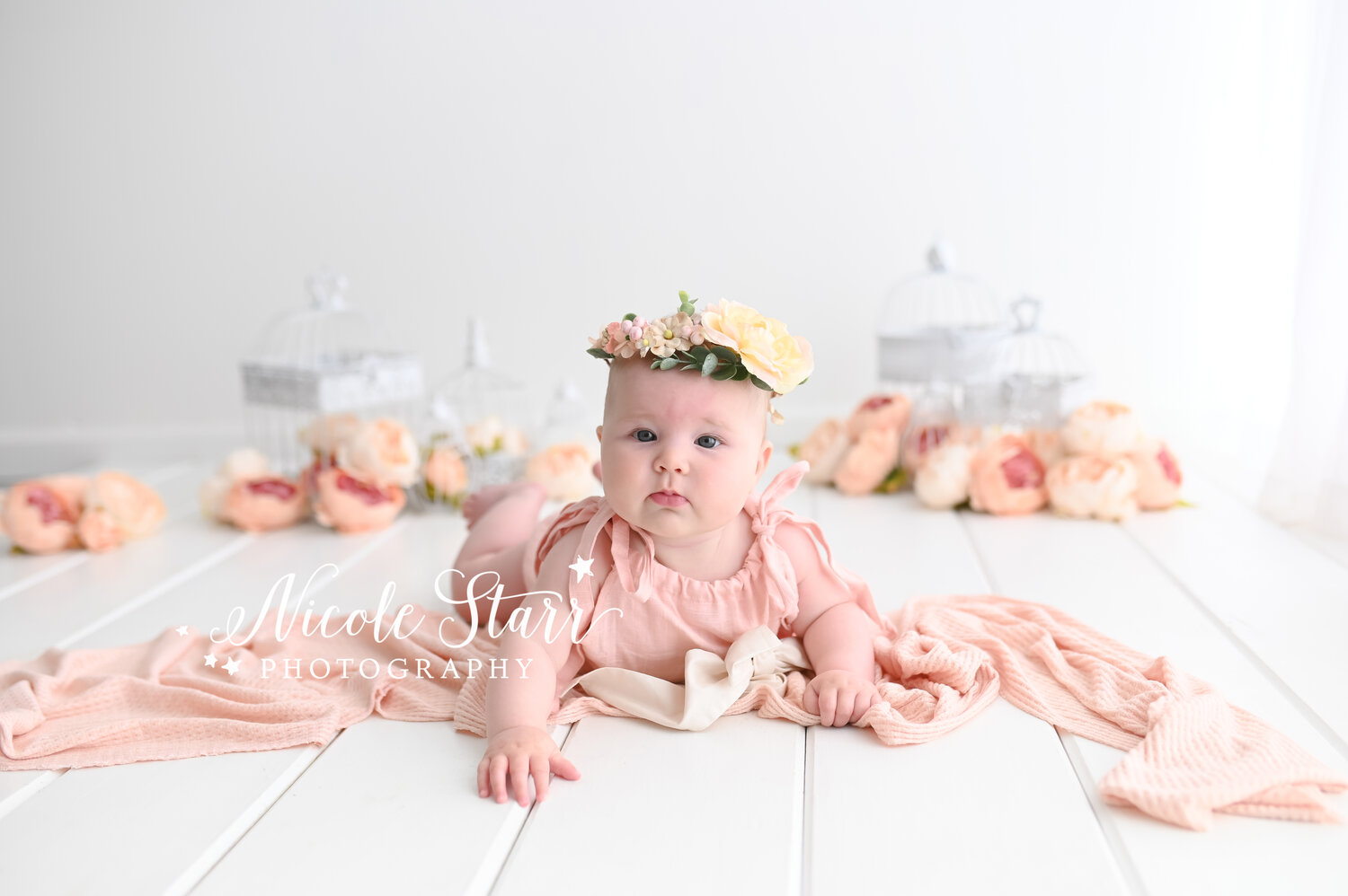 Milestone Portraits with Adorable Sisters — Saratoga Springs Baby ...