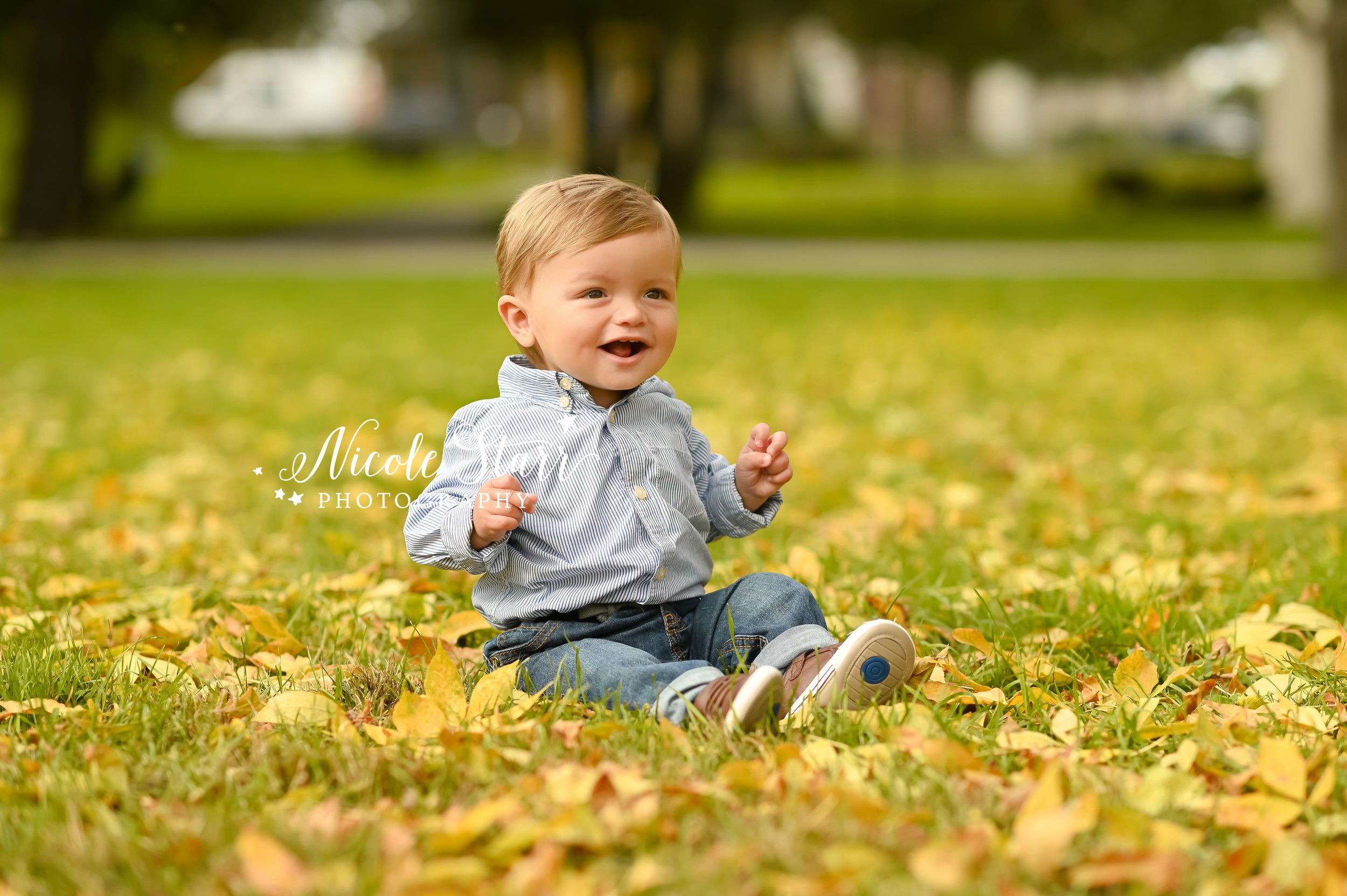 toddler plays in leaves during fall photos with Saratoga Springs family photographer Nicole Starr Photography