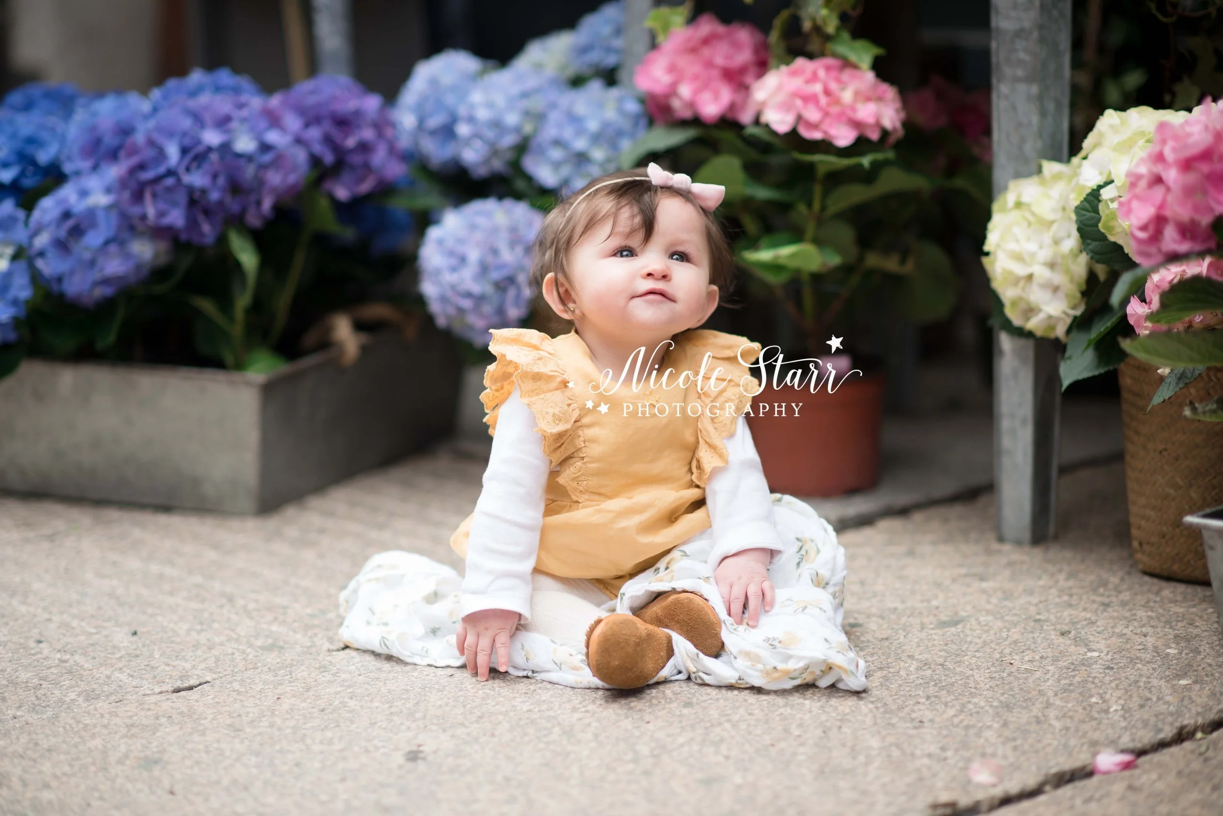 toddler sits on street by flowers in downtown Saratoga Springs with NY family photographer Nicole Starr Photography
