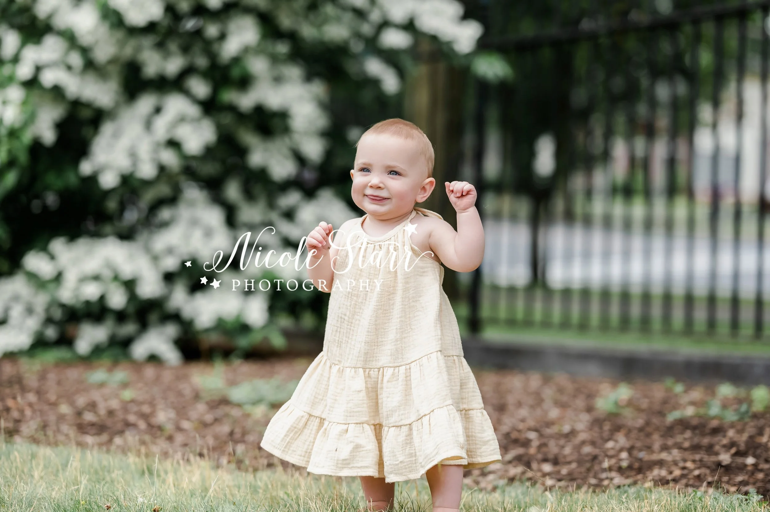toddler in yellow dress stands in the grass during spring family portraits in Congress Park photographed by Saratoga Springs family photographer Nicole Starr Photography