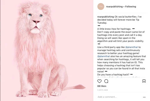 Roar Publishing peppers their grid with pastel pinks