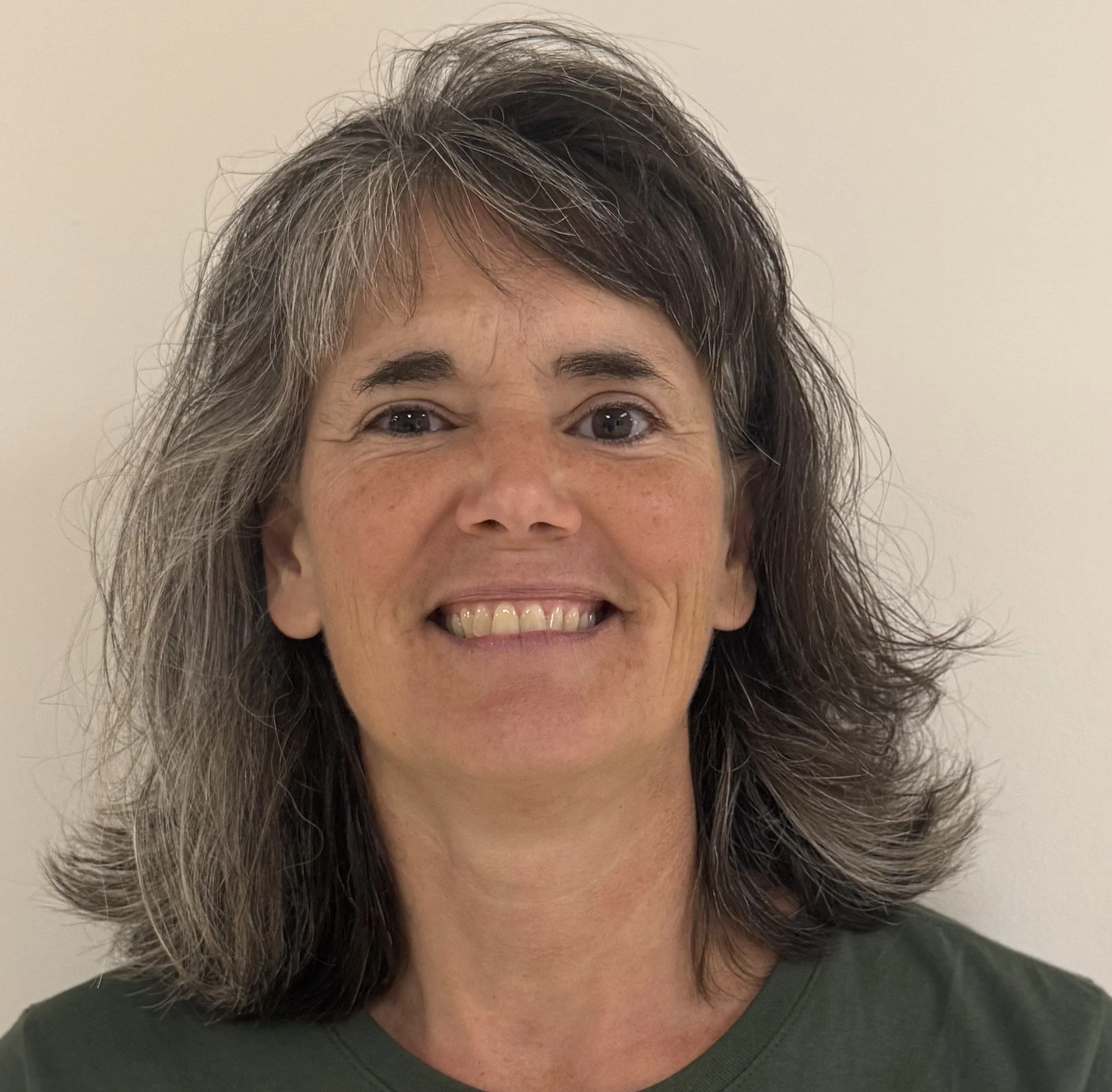 Lisa Waibel-Transportation Dir