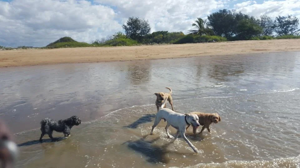 beach.jpg