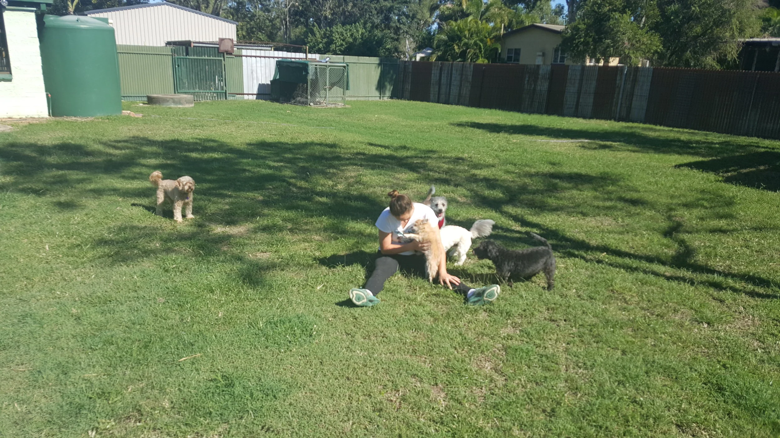 20160629_105005.jpg
