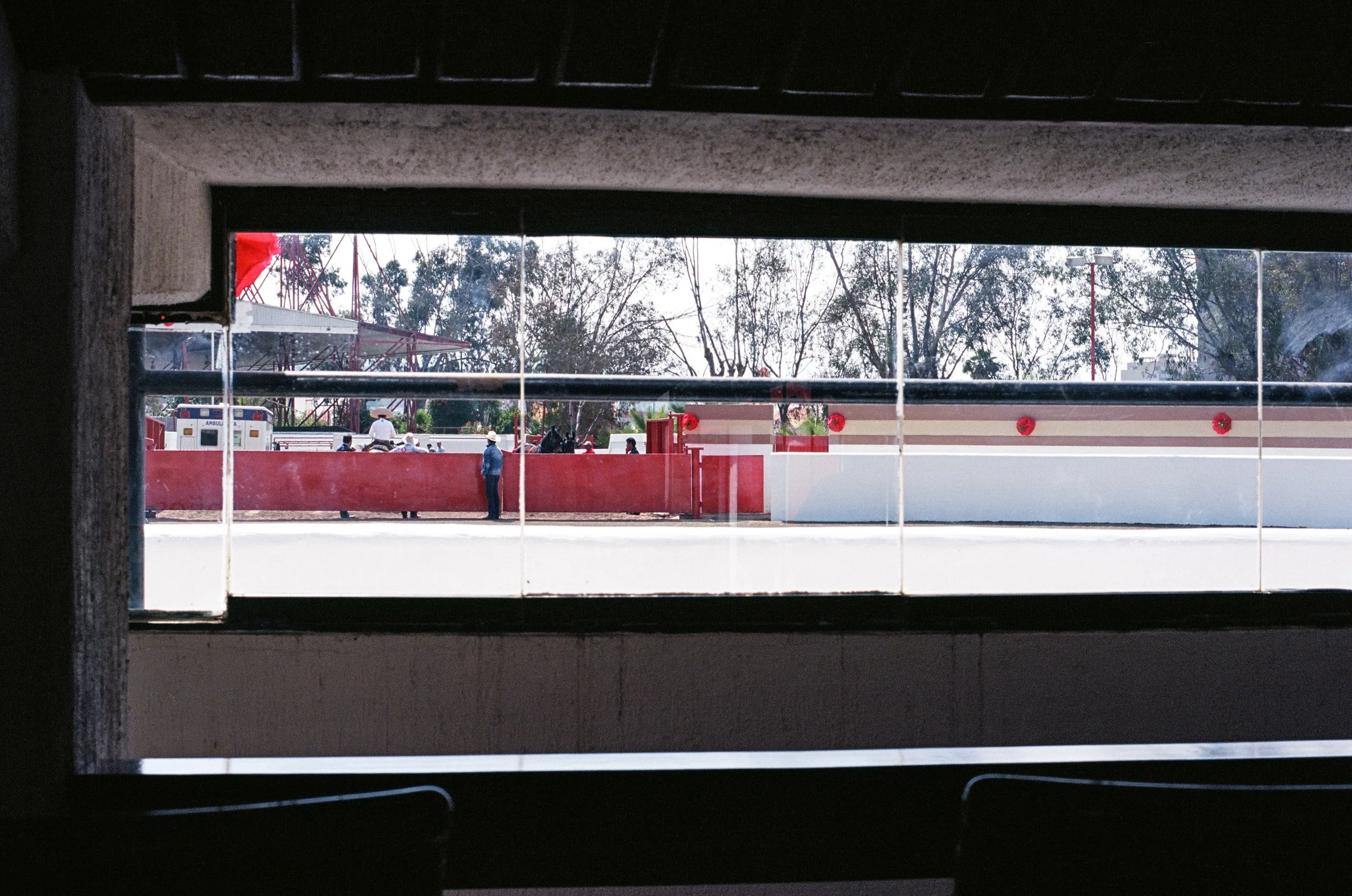 41670037.jpg