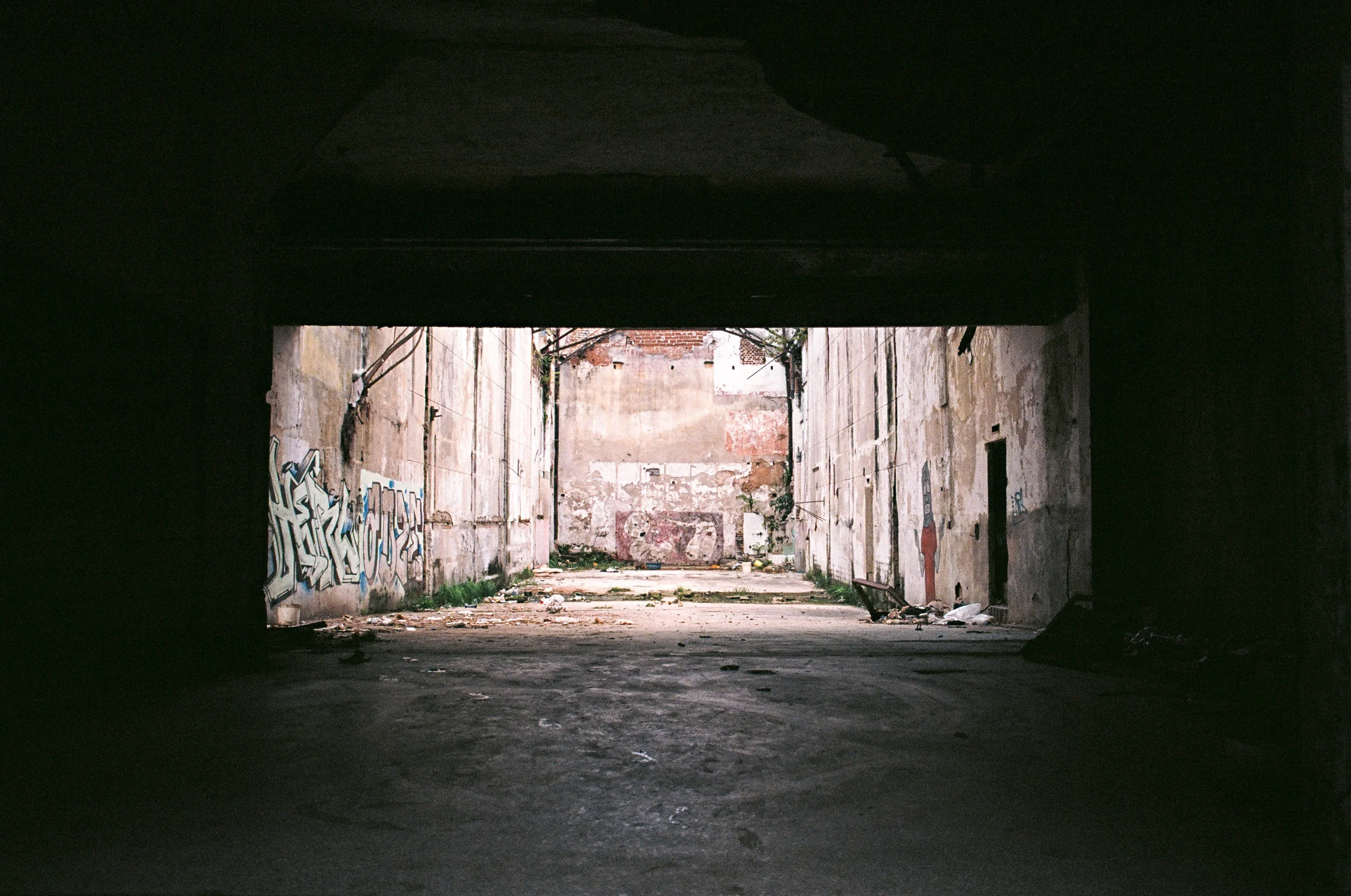 91560023.jpg