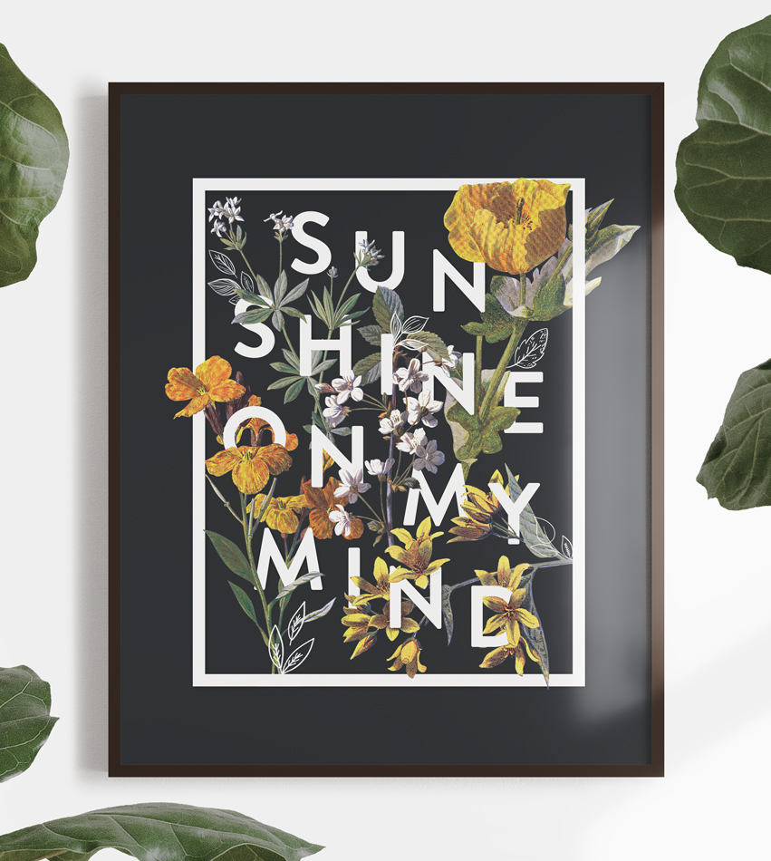 SunShine.jpg