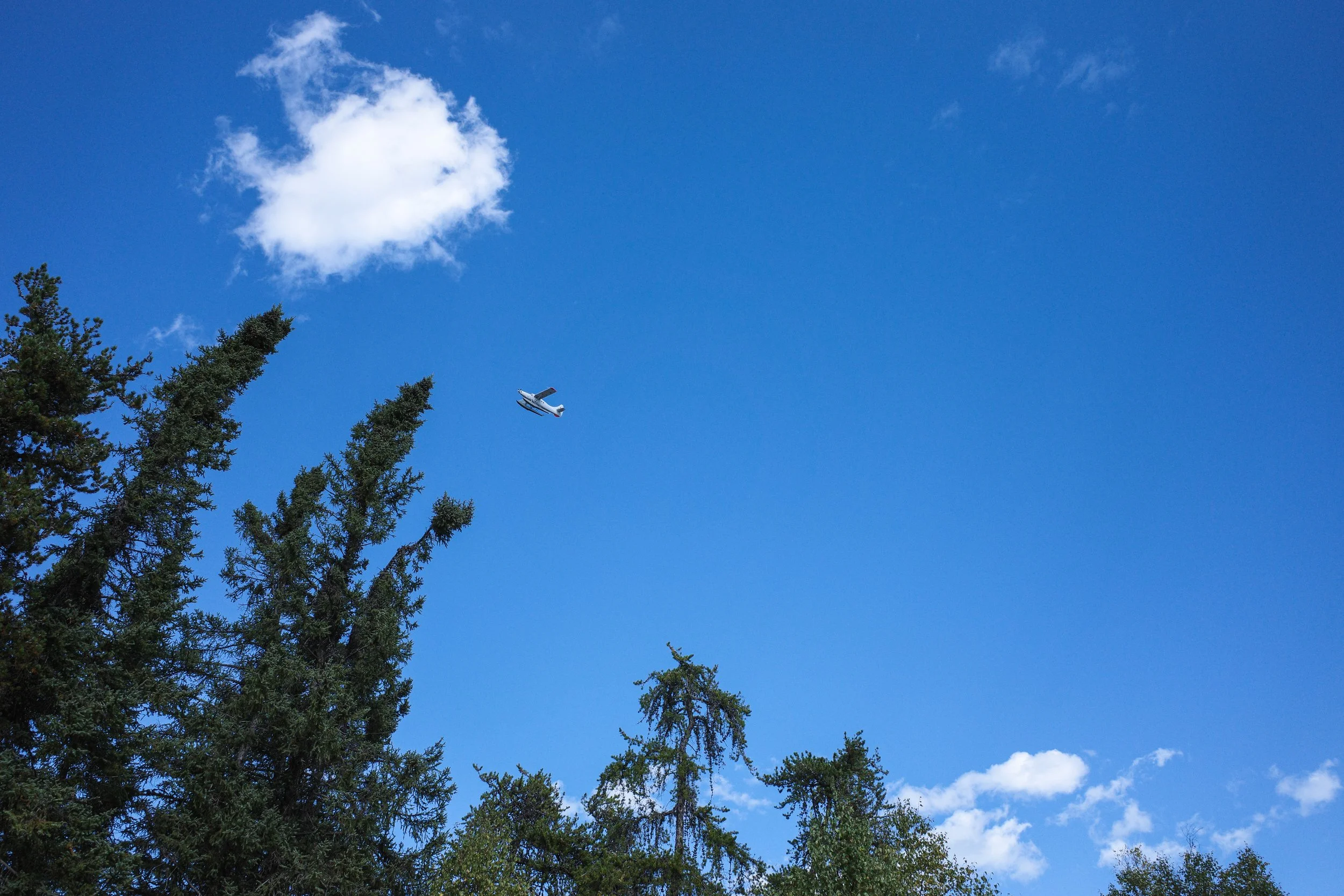 Float Plane.jpg