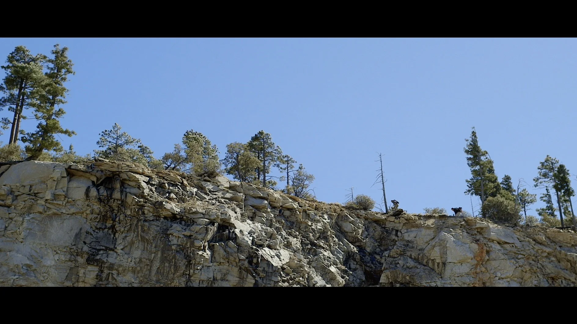 Timber_00003.jpg