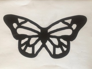 IMG_9881.jpeg