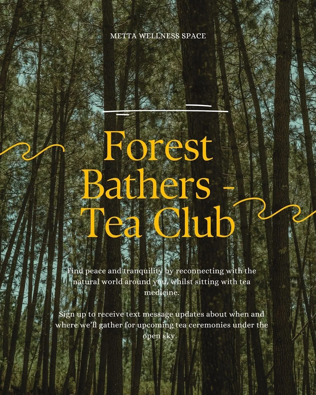 Just imagine: 

We meet together out in nature. The sun is filtering through the trees, golden and soft. A light breeze brushes upon our faces, bringing with it opportunities for change, for renewal. Birds call &amp; insects hum, not performing. They