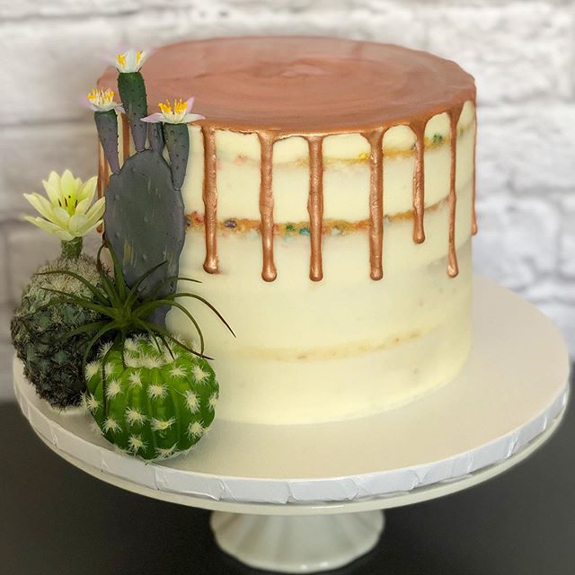 How cute is this engagement cake😍 &bull;
&bull;
&bull;
#EngagementCake #FiestaCake #CactusCake #NakedCake #Funfetti #RoseGoldDrip #DripCake #WellKneadedBakery