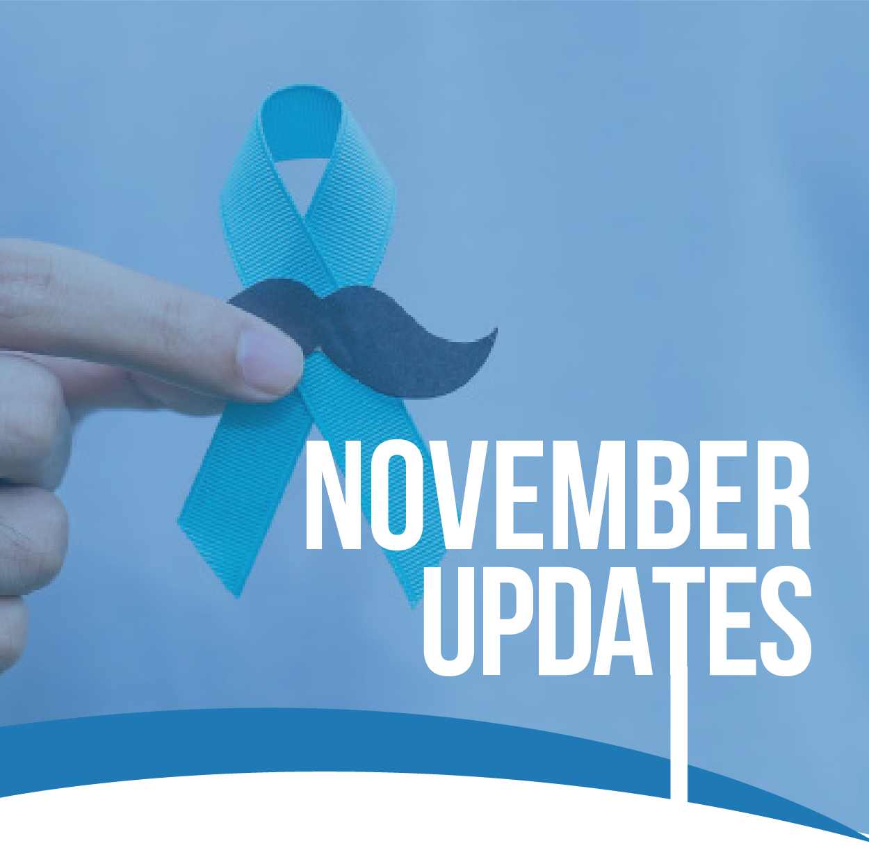 November Updates - Monthly Newsletter