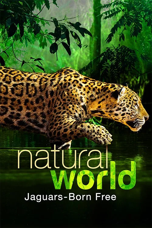 Poster6.jpg